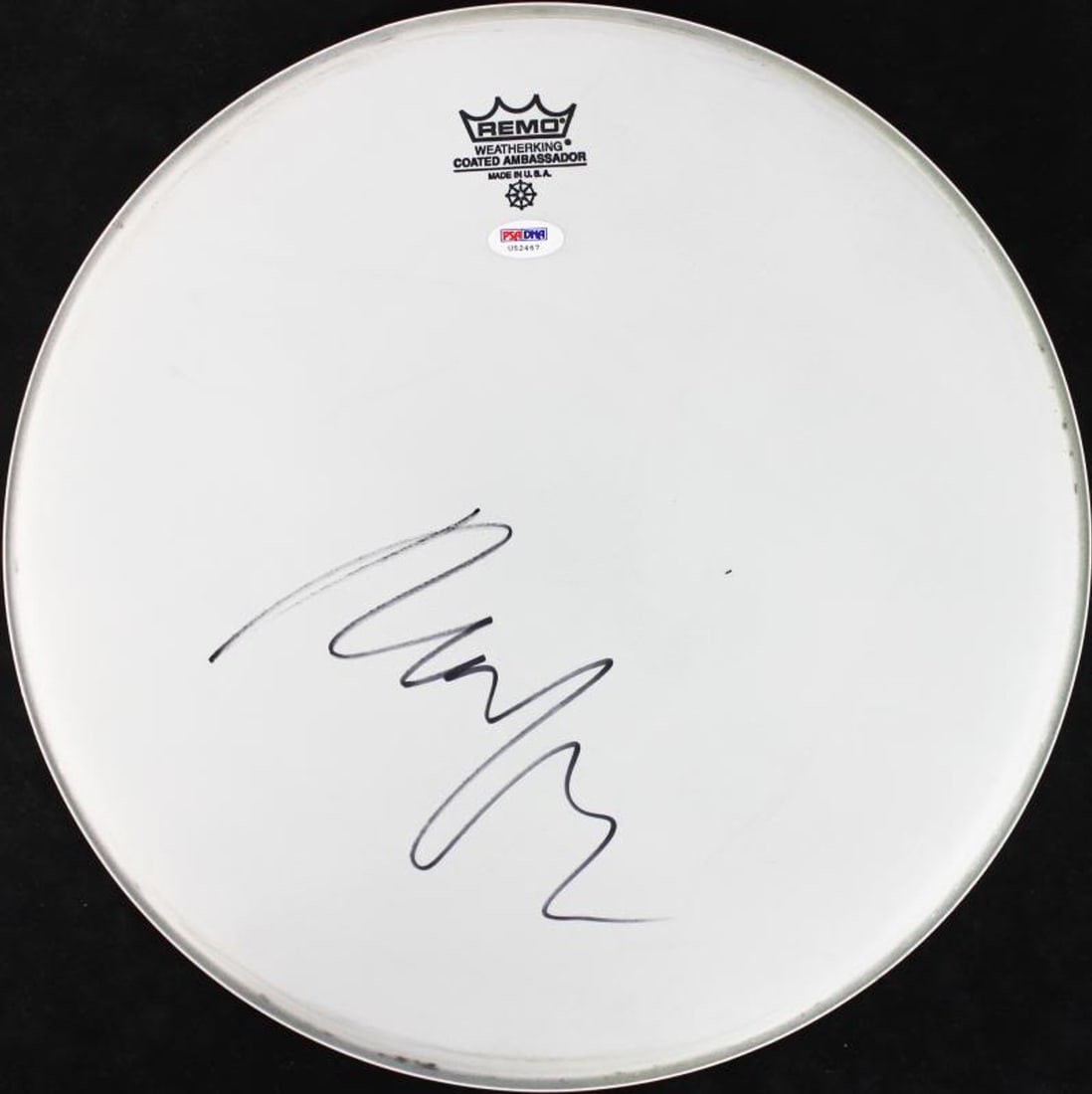 Neil Young Authentic Signed 15 Inch Drumhead Autographed PSA/DNA (1 of 1)