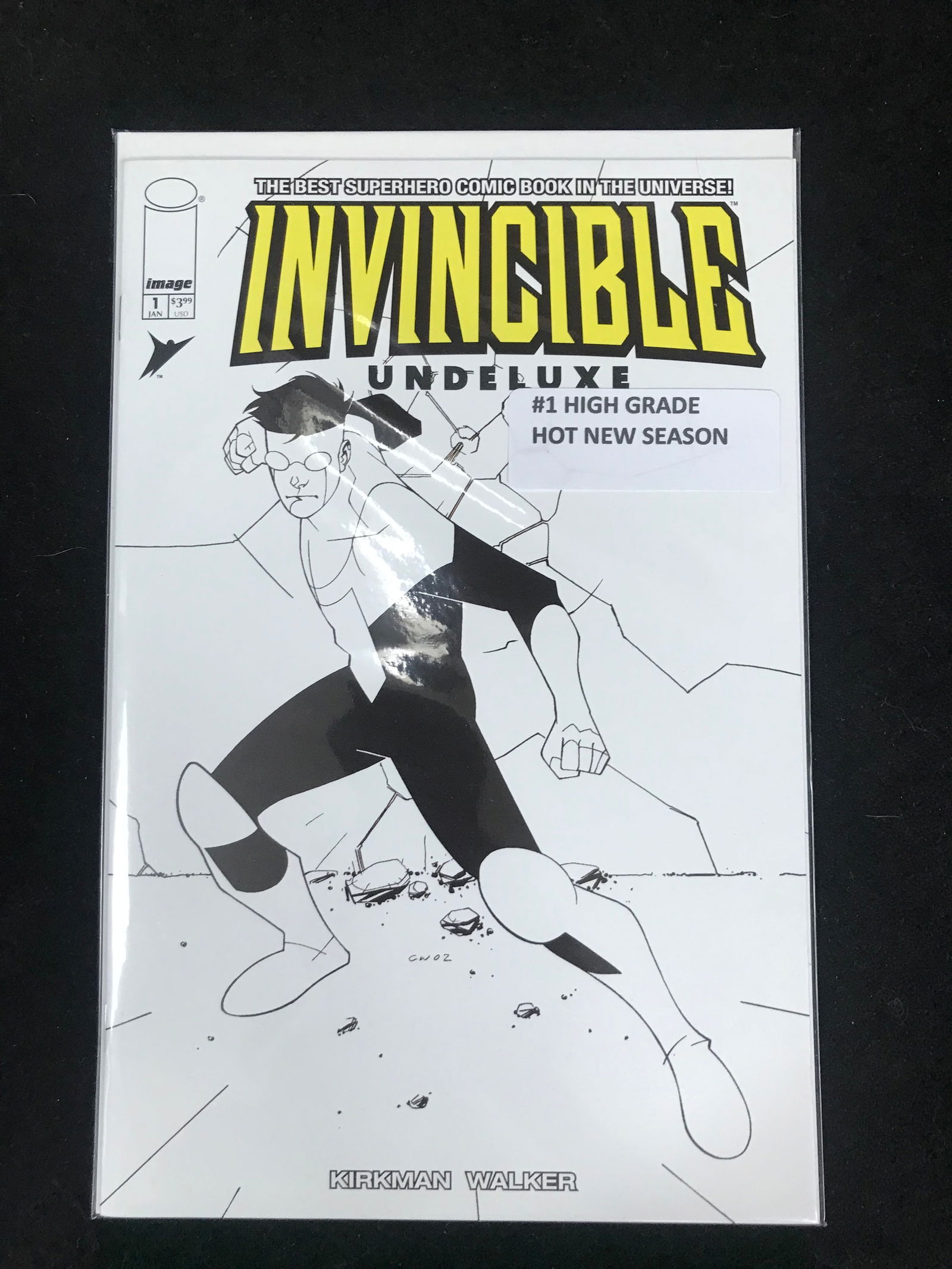 IMAGE COMICS INVINCIBLE NO.1 (1 of 1)