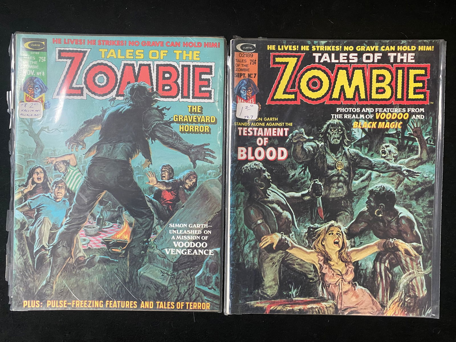 MARVEL PREVIEW PRESENTS COMIC BOOK LOT TALES OF THE ZOMBIE (1 of 1)