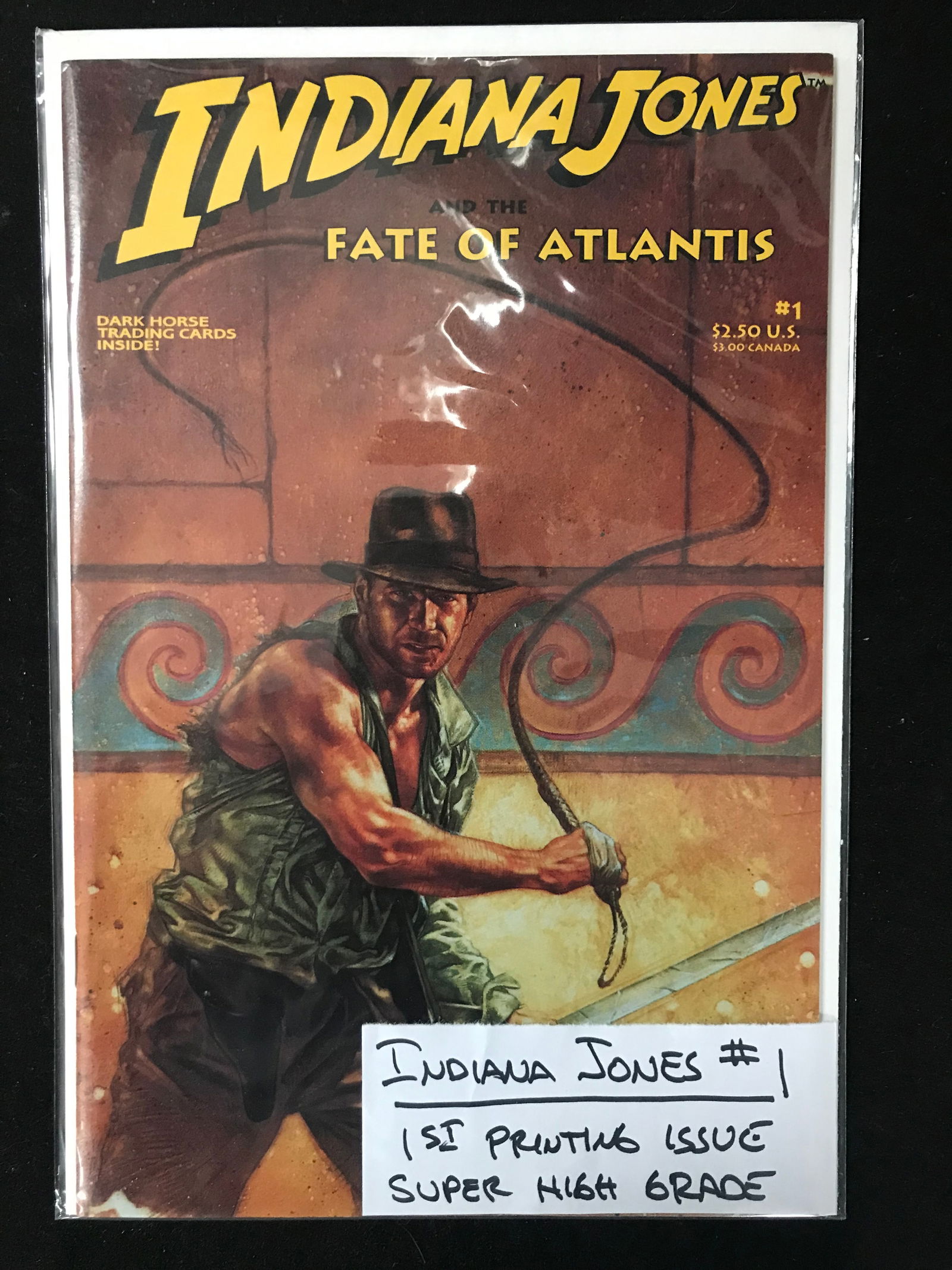 DARK HORSE COMICS NO.1 INDIANA JONES (1ST PRINTING ISSUE) (1 of 1)