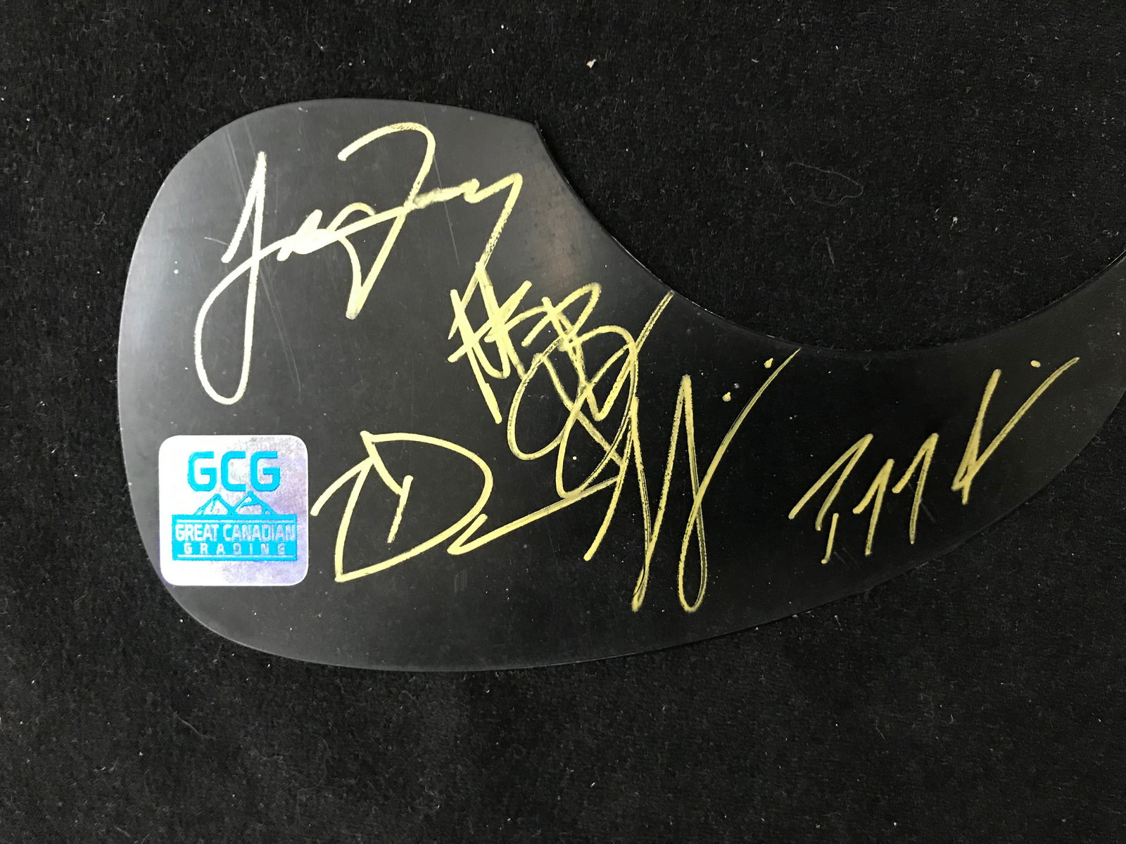 THE TRAGICALLY HUP BAND SIGNED GUITAR PIC GUARD (1 of 1)