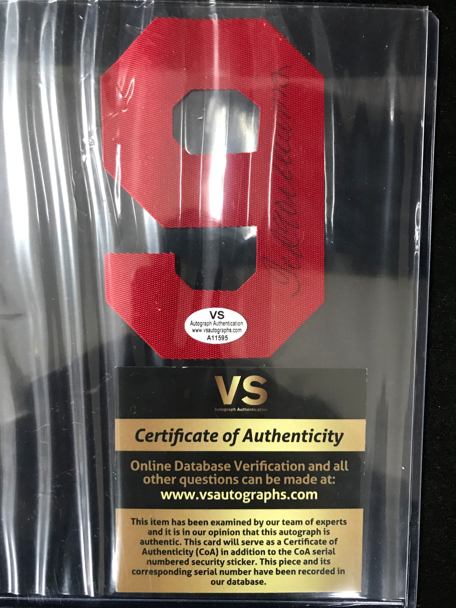 TED WILLIAMS SIGNED BOSTON RED SOX JERSEY NUMBER (VS COA) (1 of 1)