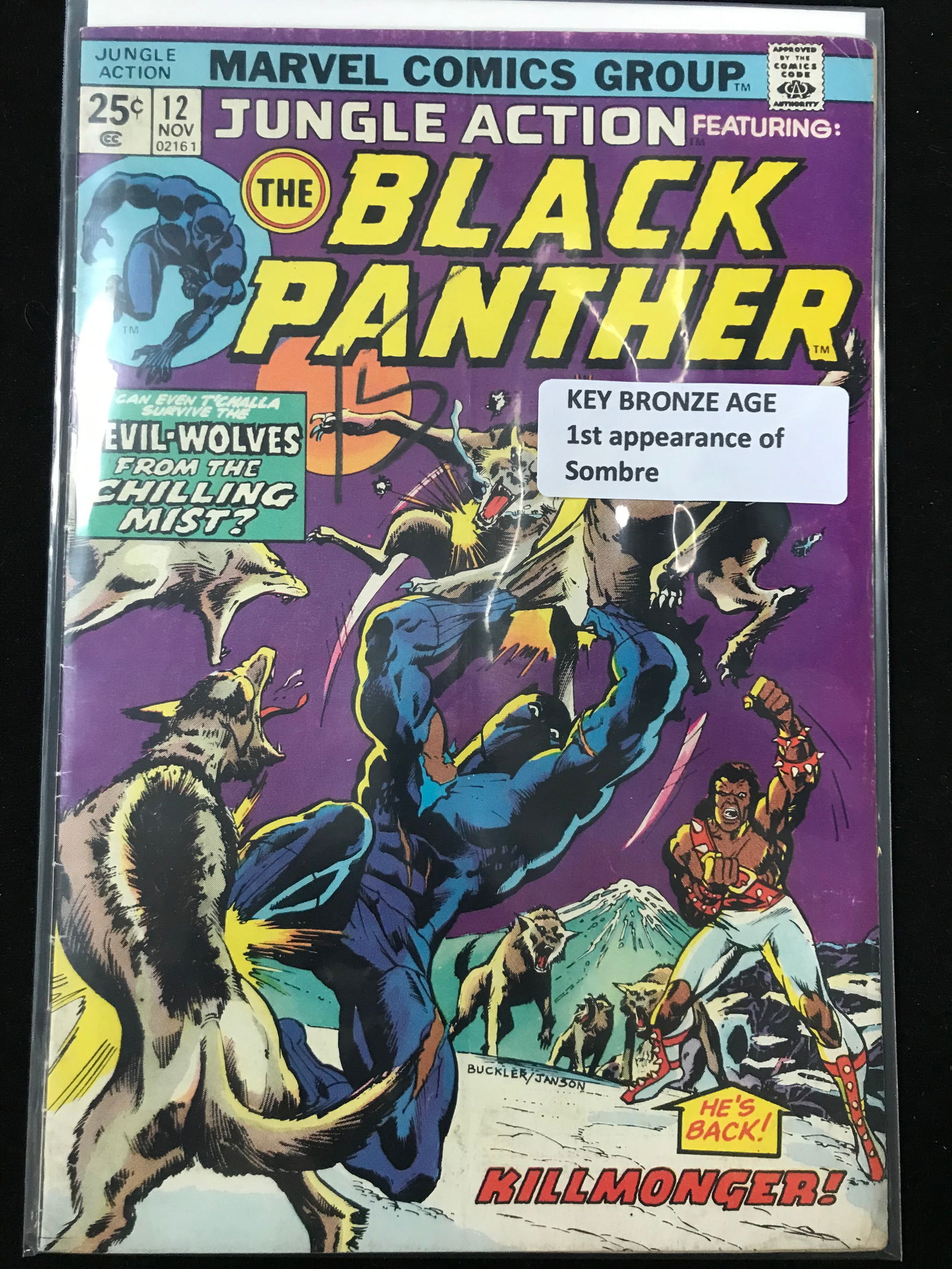 MARVEL COMICS NO.12 BLACK PANTHER (1ST APP SOMBRE) (1 of 1)