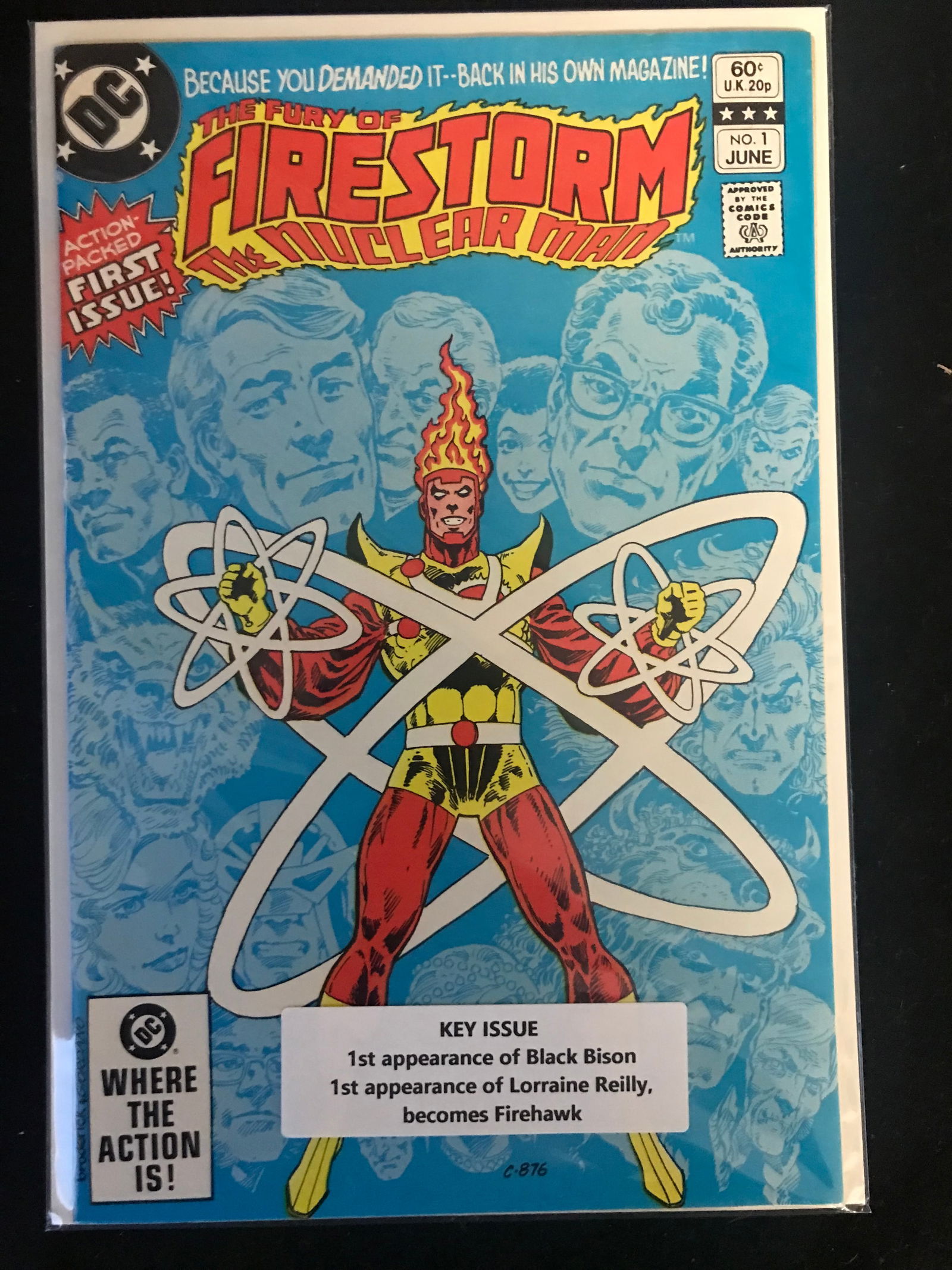DC COMICS NO.1 FIRESTORM THE NUCLEAR MAN (1ST APP BLACK BISON) (1 of 1)