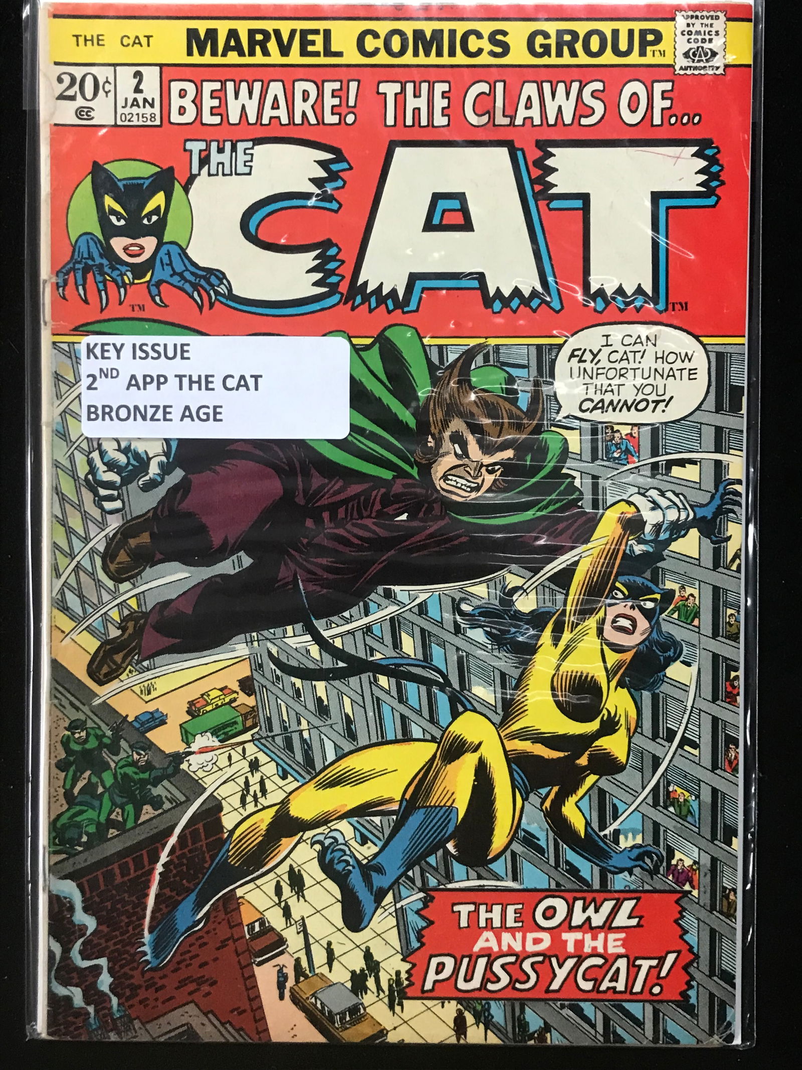 MARVEL COMICS NO.2 THE CAT (2ND APP THE CAT BRINZE AGE) (1 of 1)