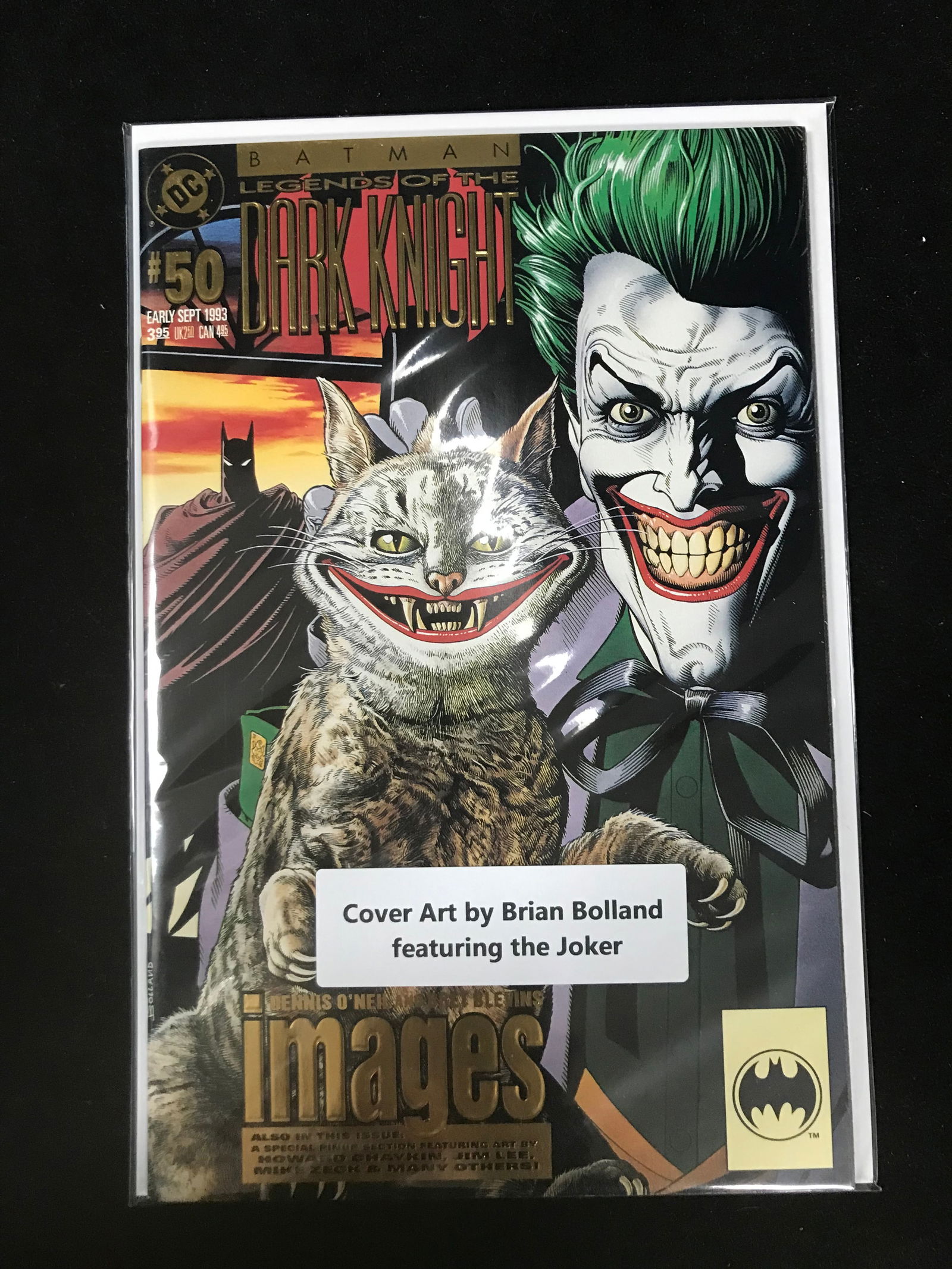 DC COMICS NO.50 BATMAN LEGENDS OF THE DRAK KNIGHT (BRIAN BOLLAND JOKER COVER) (1 of 1)