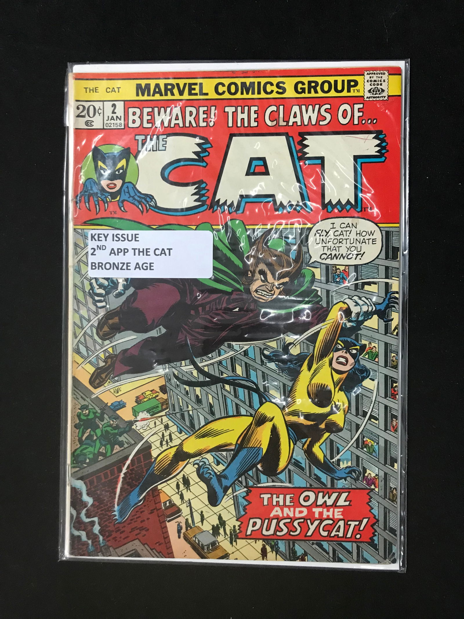 MARVEL COMICS NO.2 THE CAT (2ND APP OF THE CAT) (1 of 1)