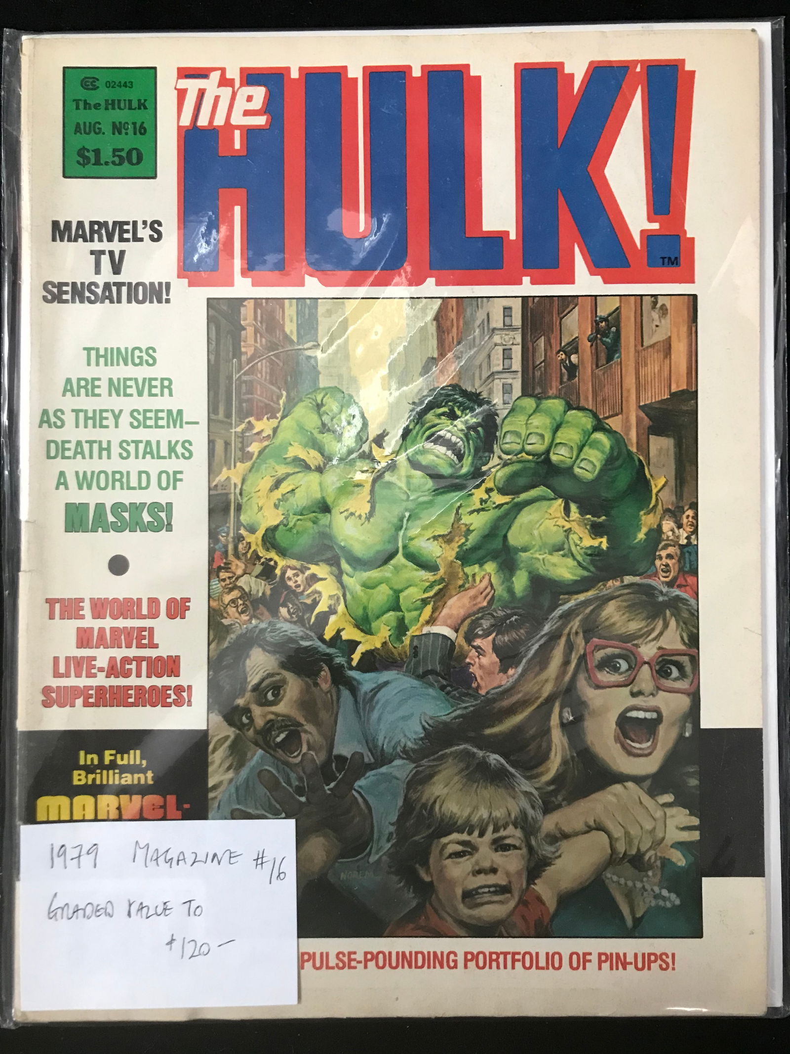 MARVEL COMICS NO.16 THE HULK (1 of 1)