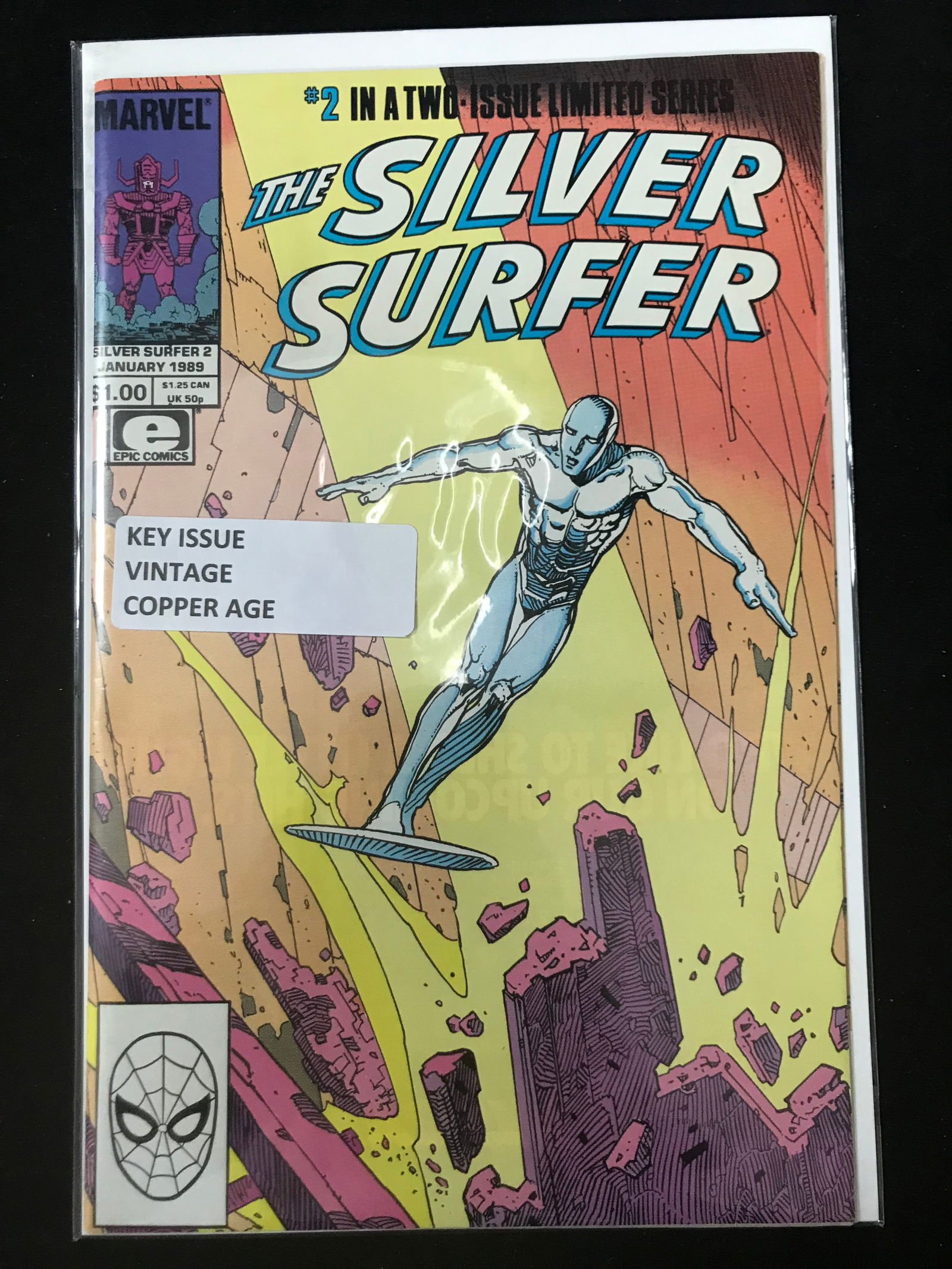 MARVEL/EPIC COMICS NO.2 THE SILVER SURFER (VINTAGE COPPER AGE) (1 of 1)