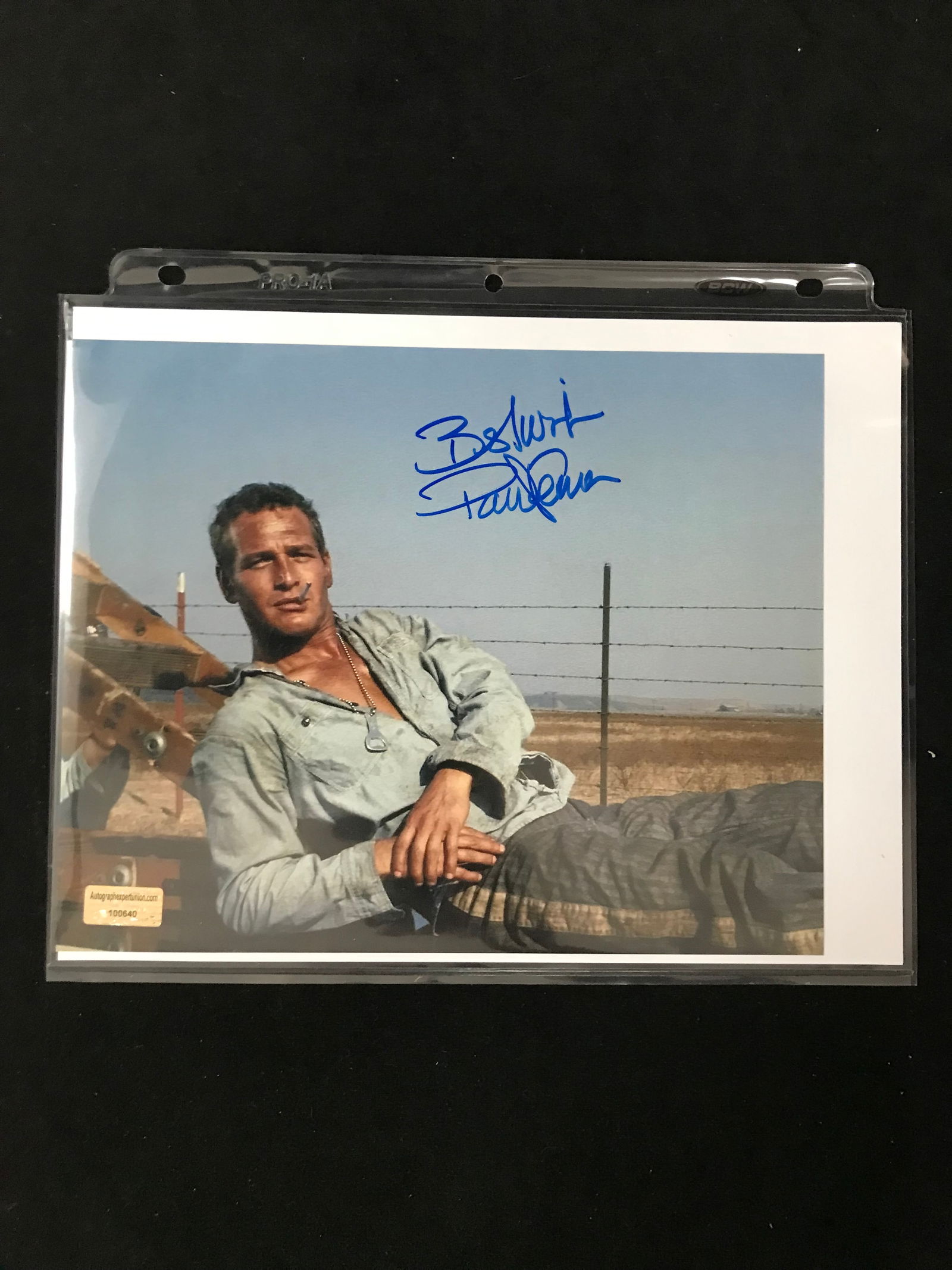 PAUL NEWMAN SIGNED 8 X 10 (AUTOGRAPH EXPERTS COA) (1 of 1)