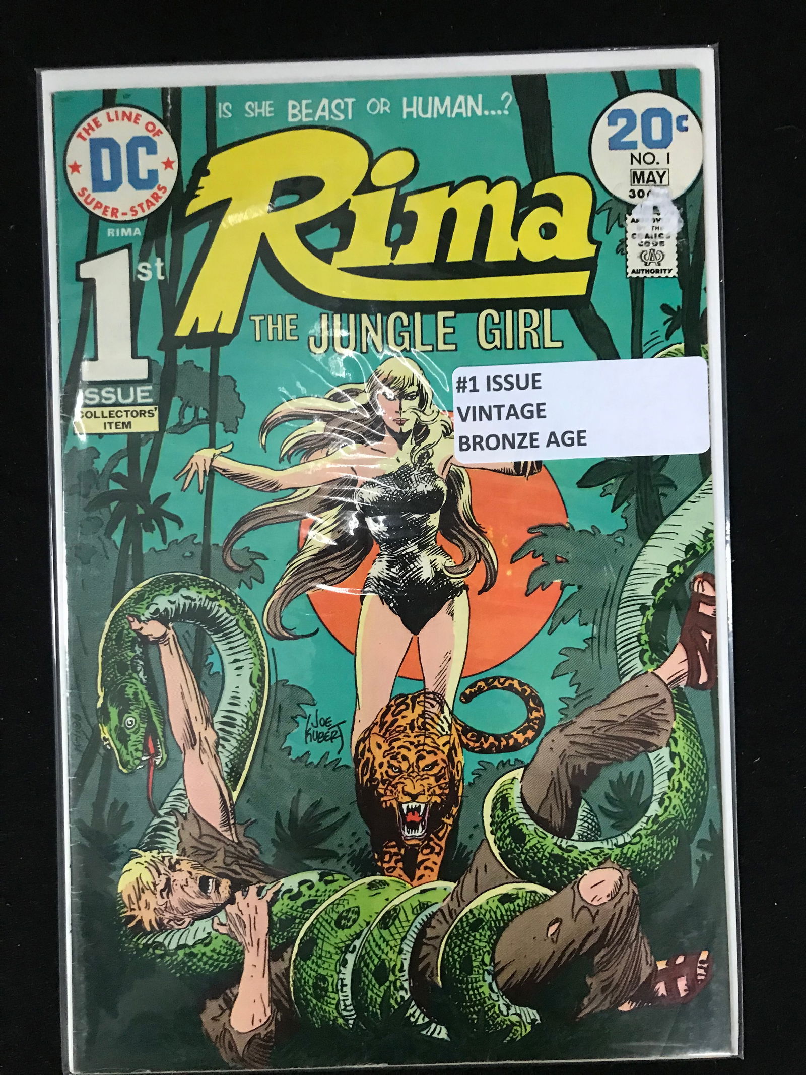 DC COMICS NO.1 RIMA THE JUNGLE GIRL (VINTAGE BRONZE AGE) (1 of 1)