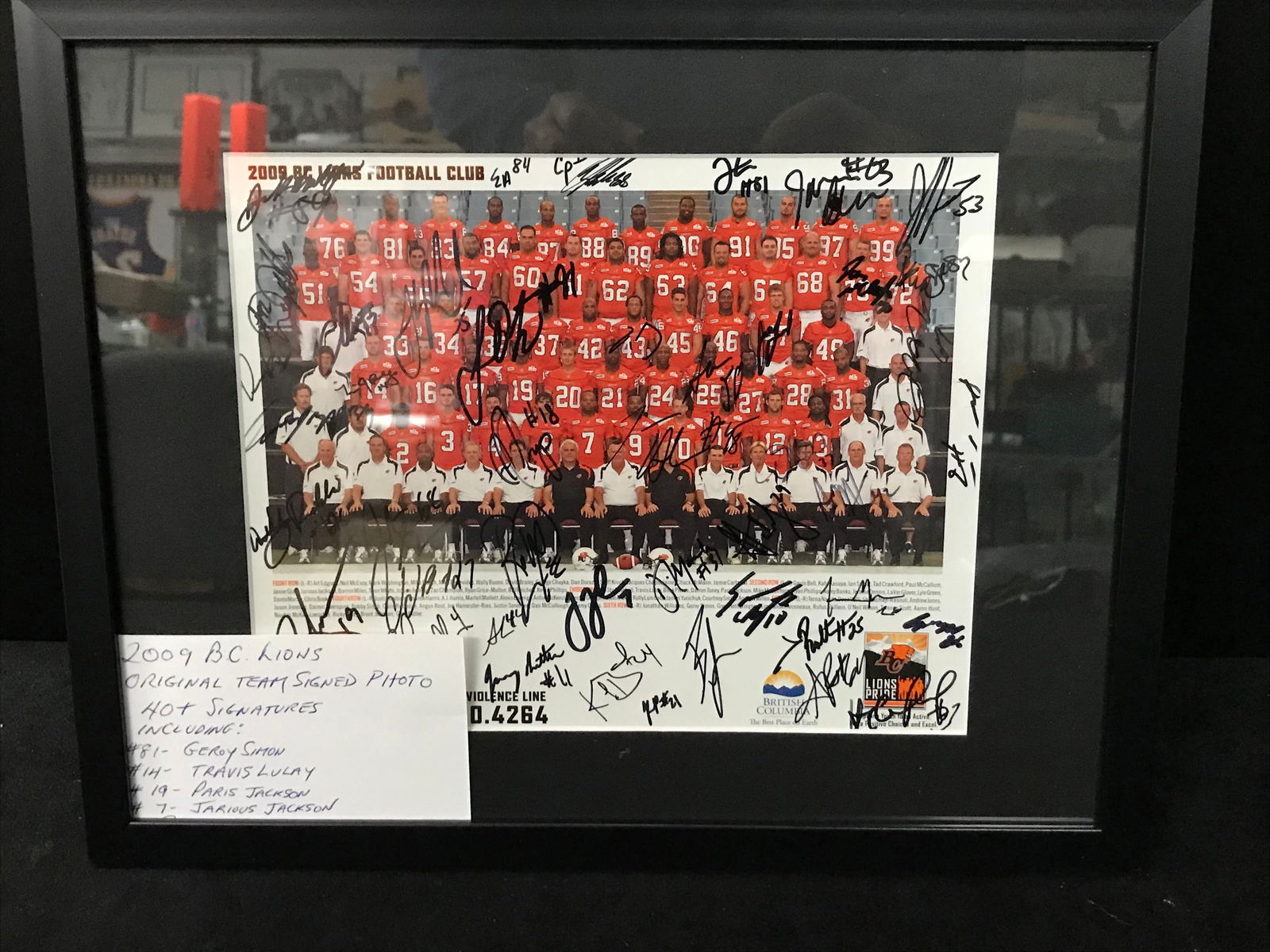 2009 BC LIONS TEAM SIGNED CUSTOM FRAMED 11 X 14 DISPLAY (1 of 3)
