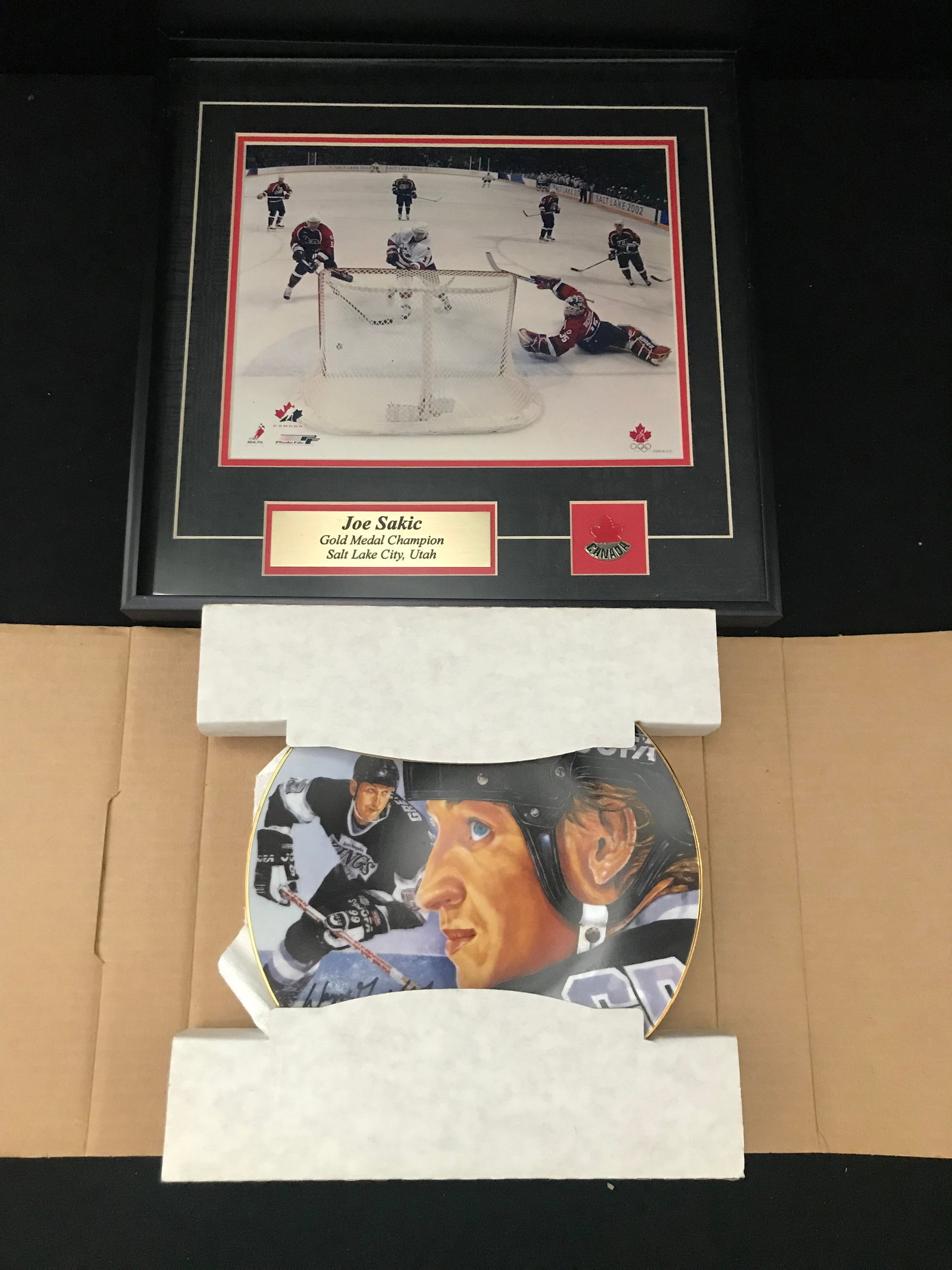 JOE SAKIC TEAM CANADA GOLDEN GOAL AND WAYNE GRETZKY COLLECTOR PLATE LOT: Prices are in Canadian dollars