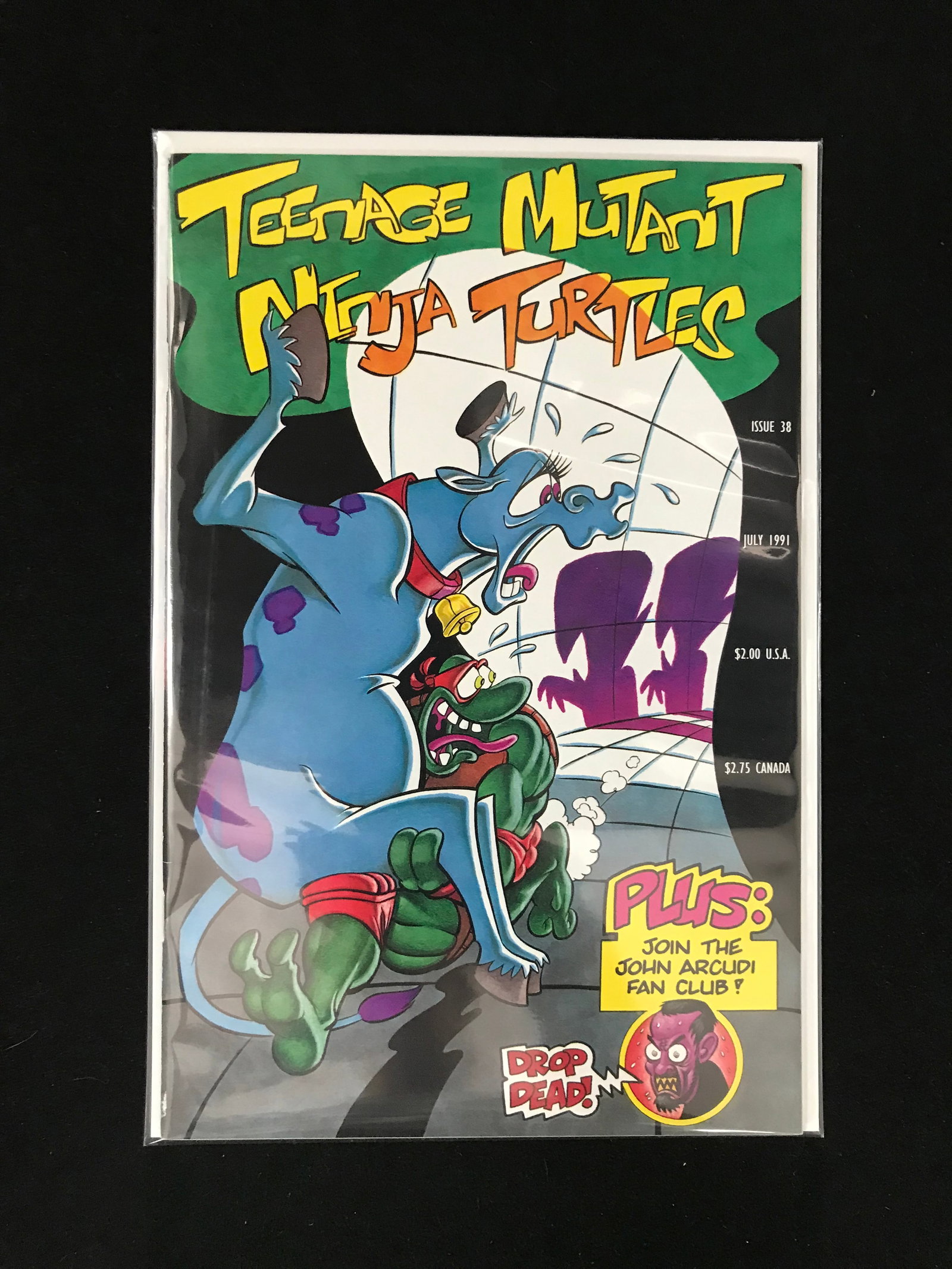 TEENAGE MUTANT NINJA TURTLES NO.38: Prices are in Canadian dollars