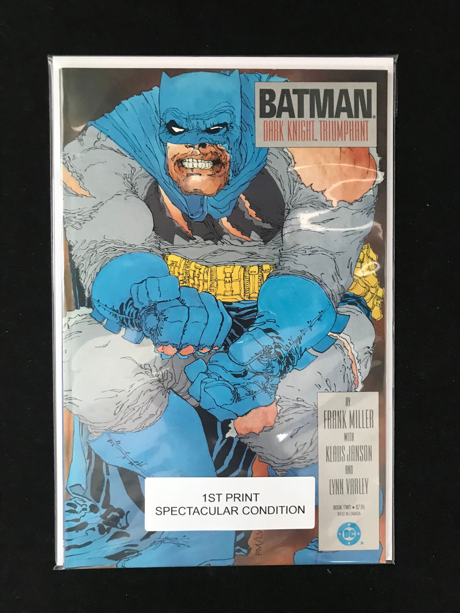 DC COMICS NO.2 BATMAN DARK KNIGHT TRIUMPHANT (1 of 1)