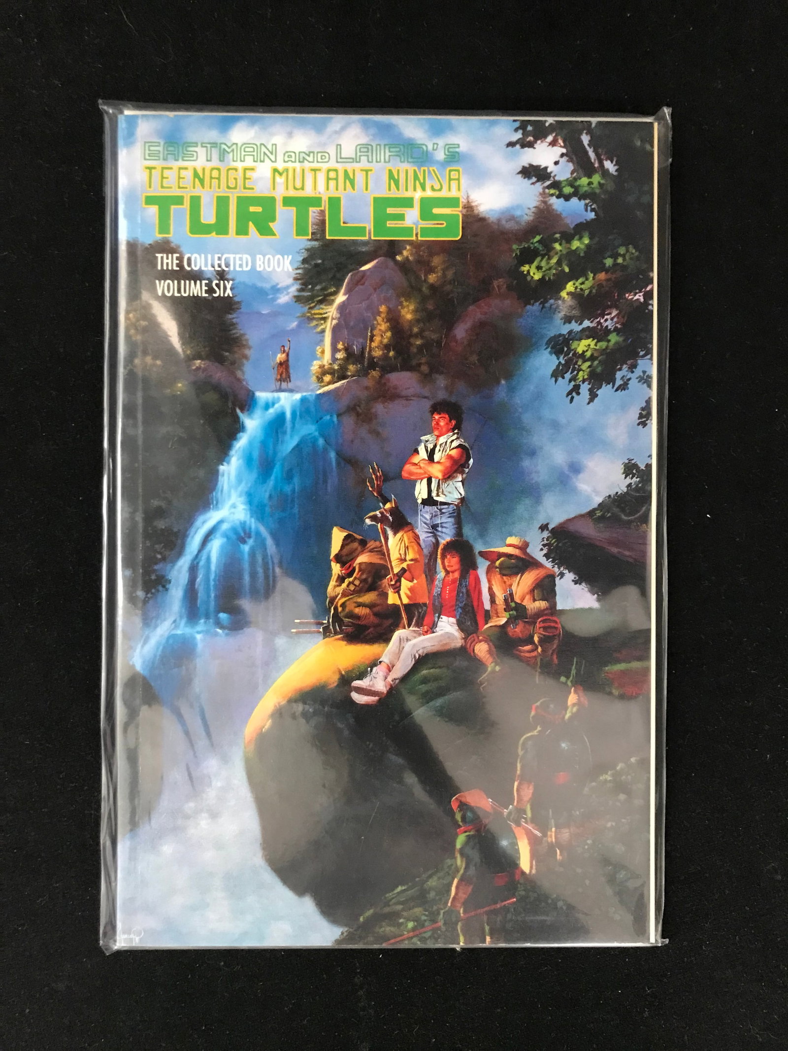 MIRAGE COMICS TEENAGE MUTANT NINJA TURTLES COLLECTED EDITION NO.6: Prices are in Canadian dollars