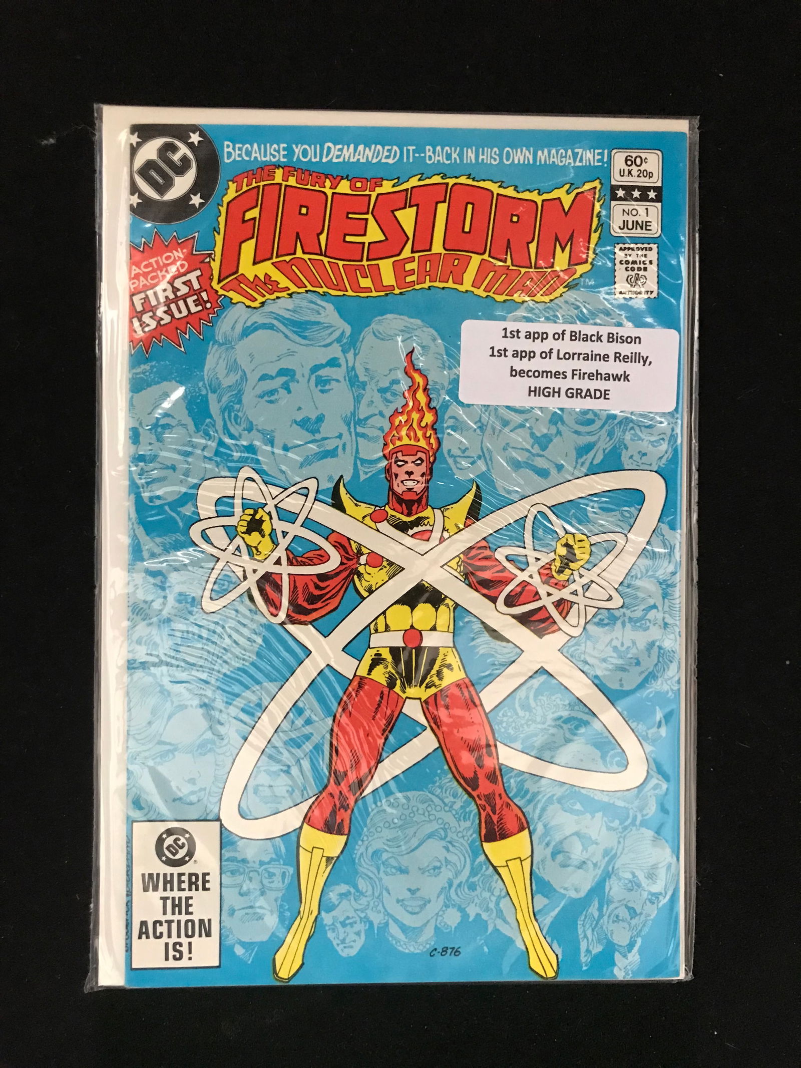 DC COMICS NO.1 FIRESTORM THE NUCLEAR MAN (1 of 1)