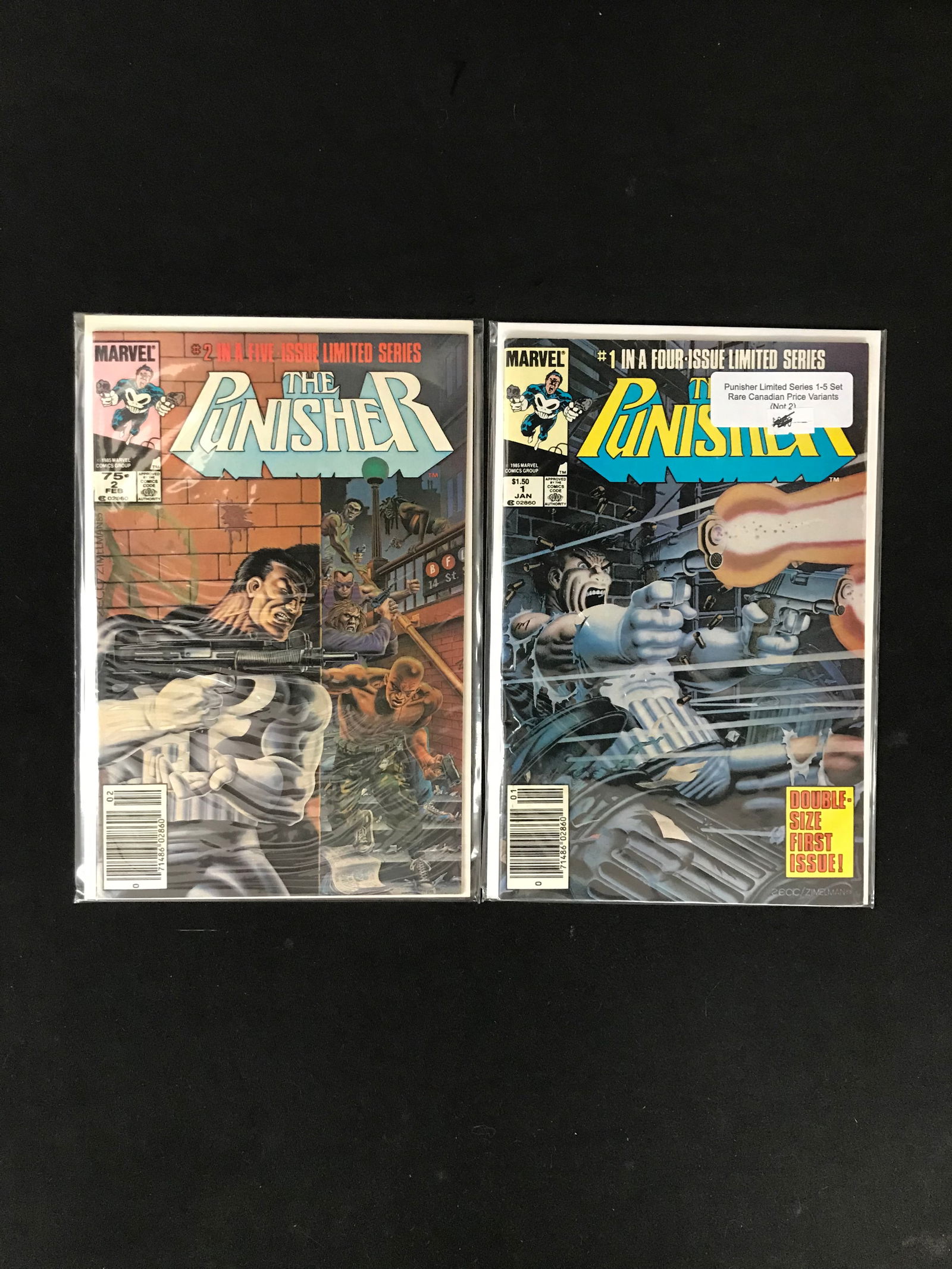 LOT OF 2 THE PUNISHER COMICS (MARVEL COMICS) (1 of 1)
