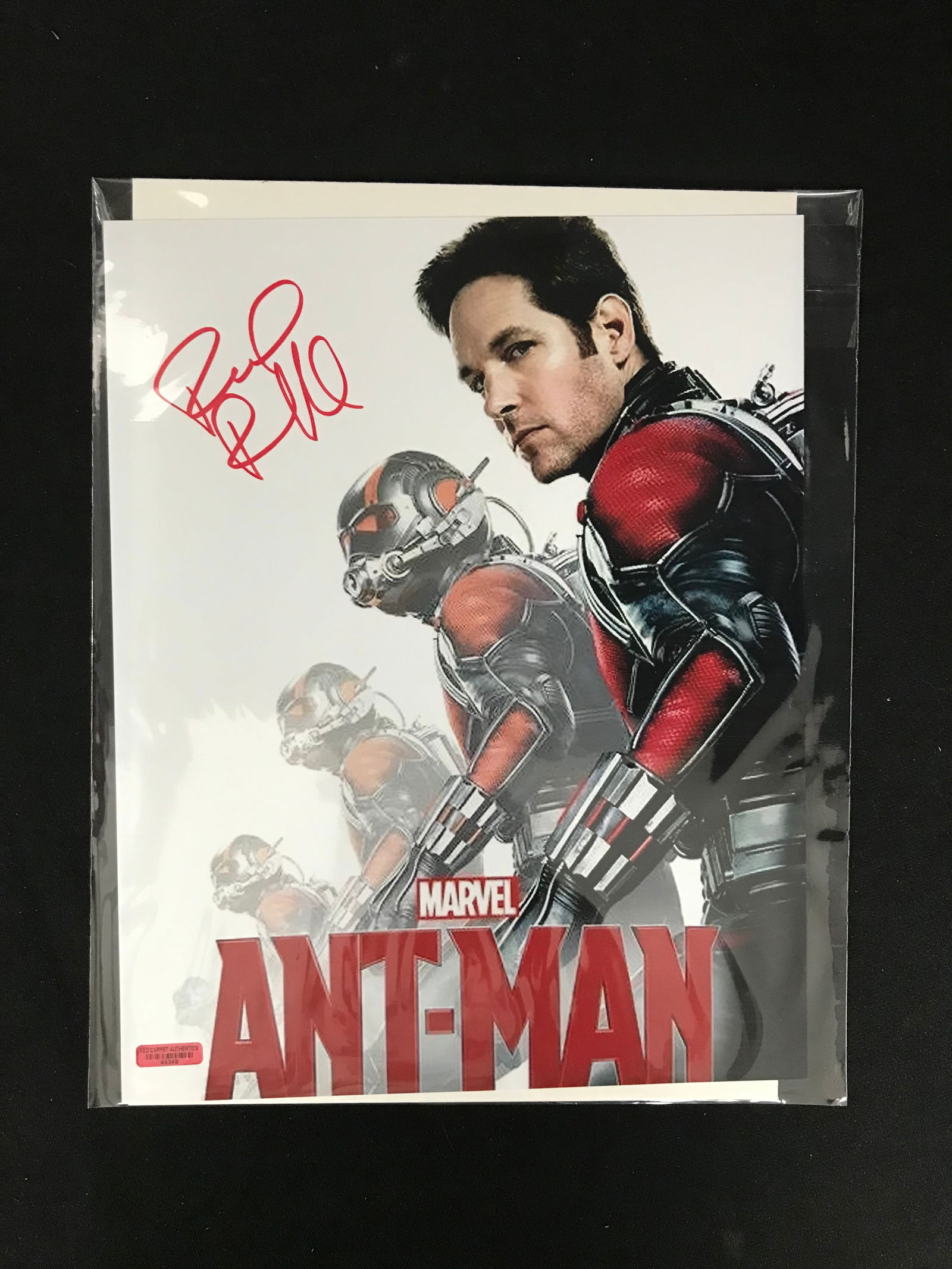 PAUL RUDD SIGNED ANT MAN 8 X 10 (RED CARPET COA) (1 of 2)