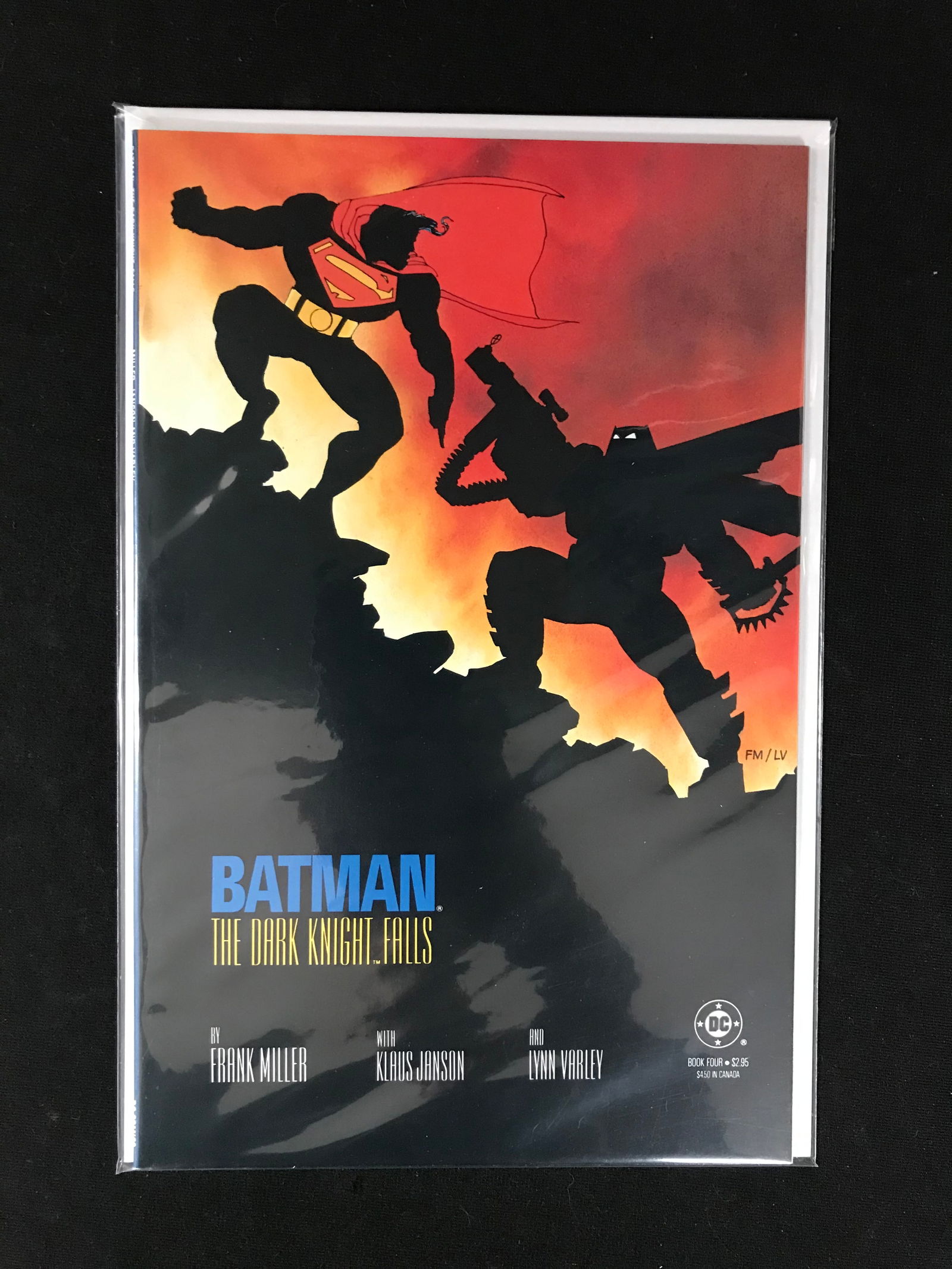 DC COMICS BATMAN THE DARK KNIGHT FALLS (1 of 1)