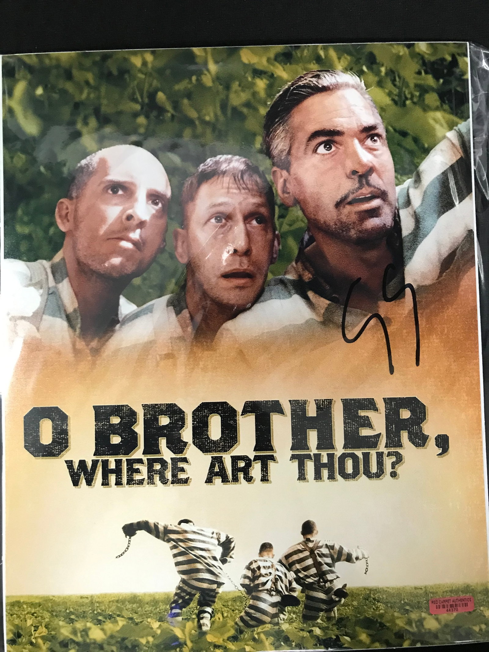 GEORGE CLOONEY SIGNED O BROTHER WHERE ART THOU 8 X 10 (RED CARPET COA): Prices are in Canadian dollars