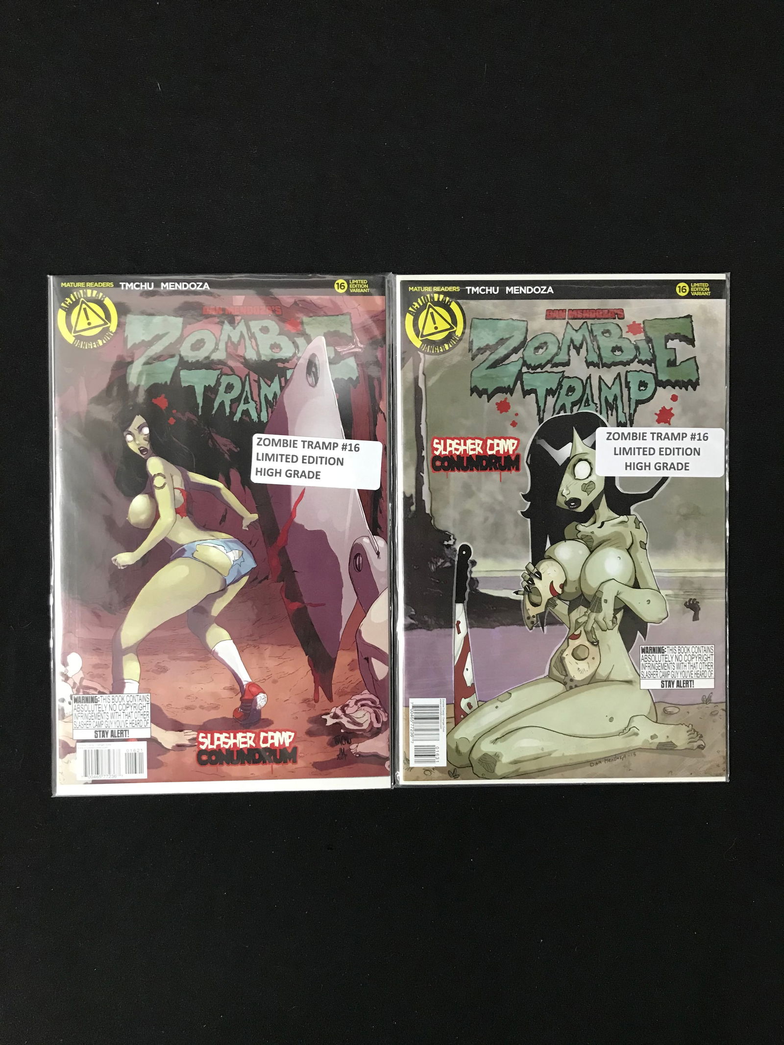 ACTION LAB ZOMBIE TRAMP COMIC BOOK LOT (1 of 1)