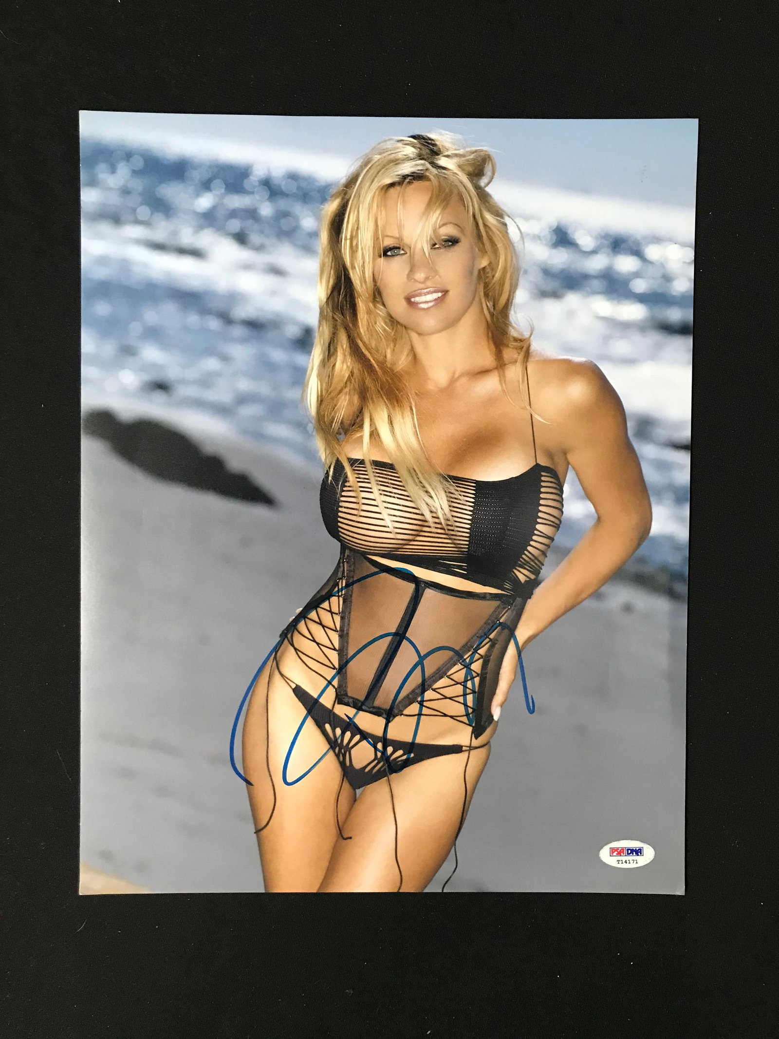 PAMELA ANDERSON SIGNED 11 X 14 SWIMSUIT (PSA COA): Prices are in Canadian dollars