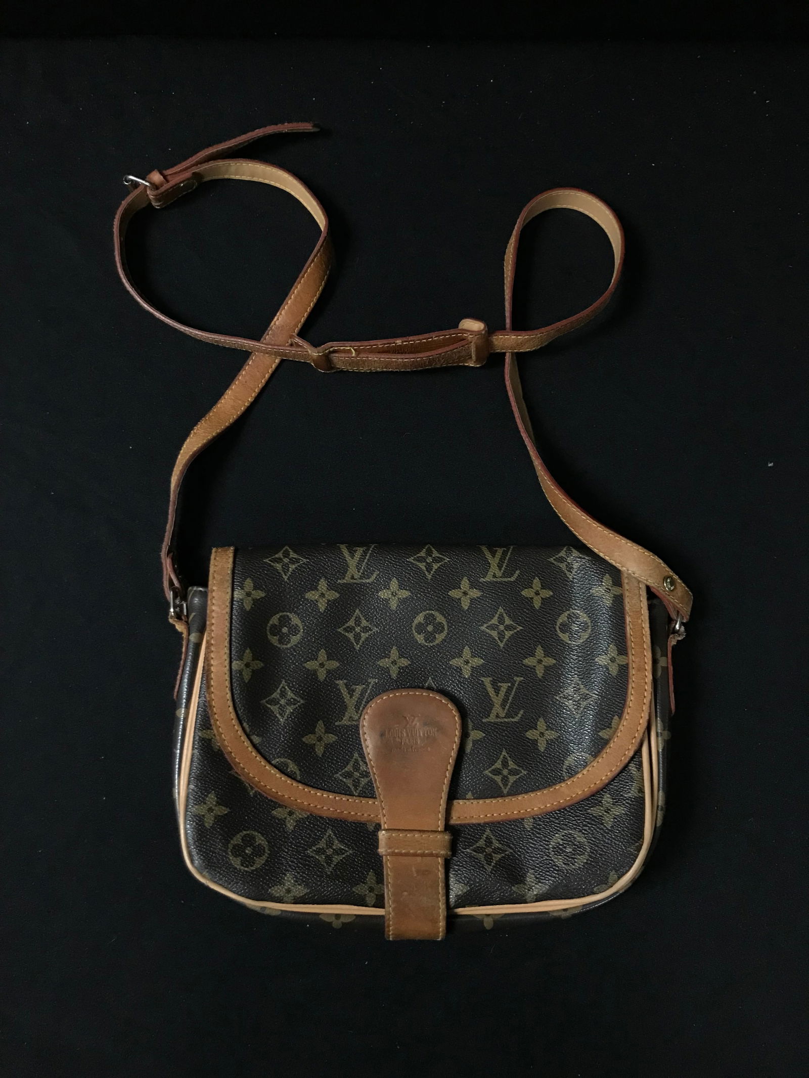 LOUIS VUITTON SMALL SADDLE BAG (1 of 2)