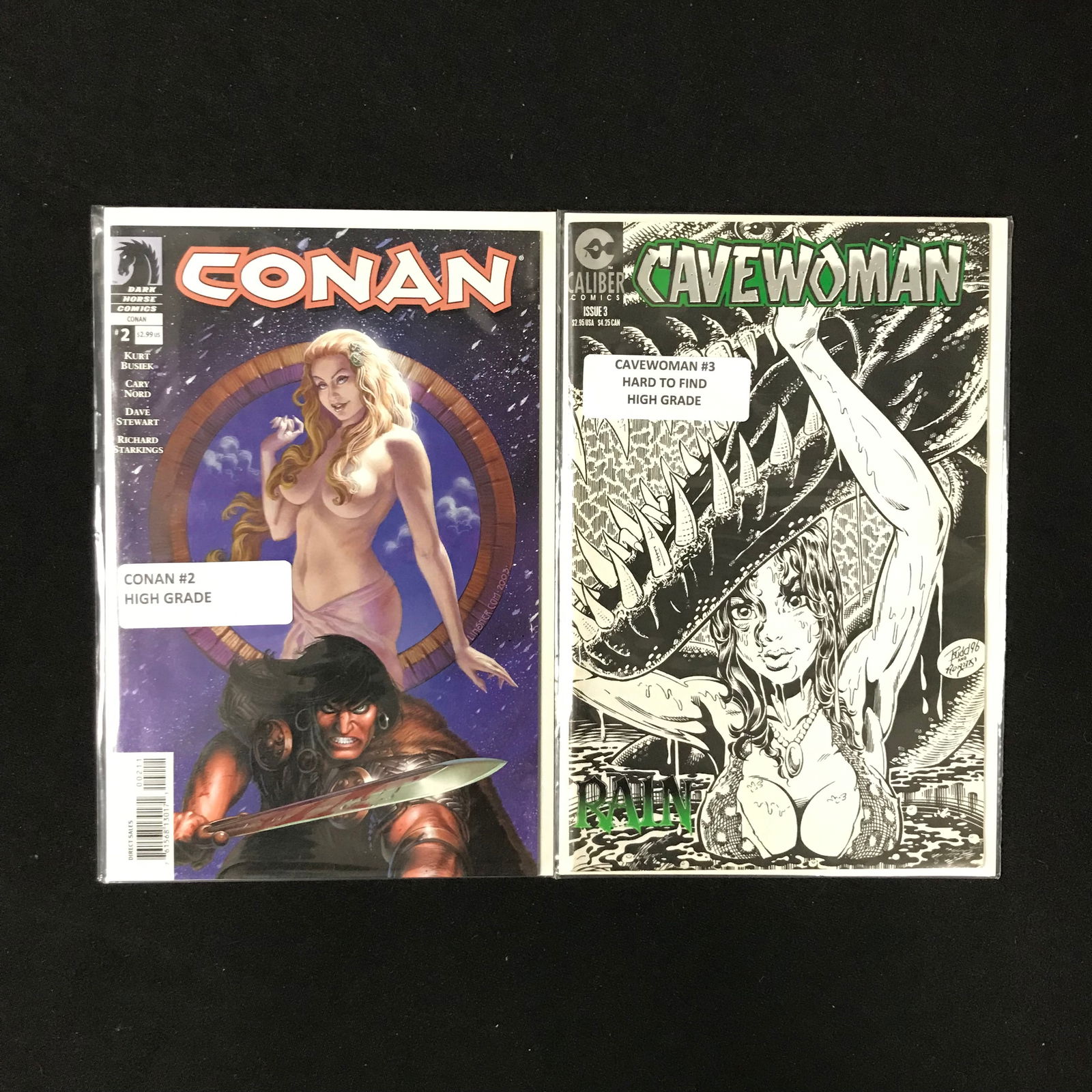 LOT OF 2 COMICS VARIOUS TITLES (INDI COMICS) (1 of 1)