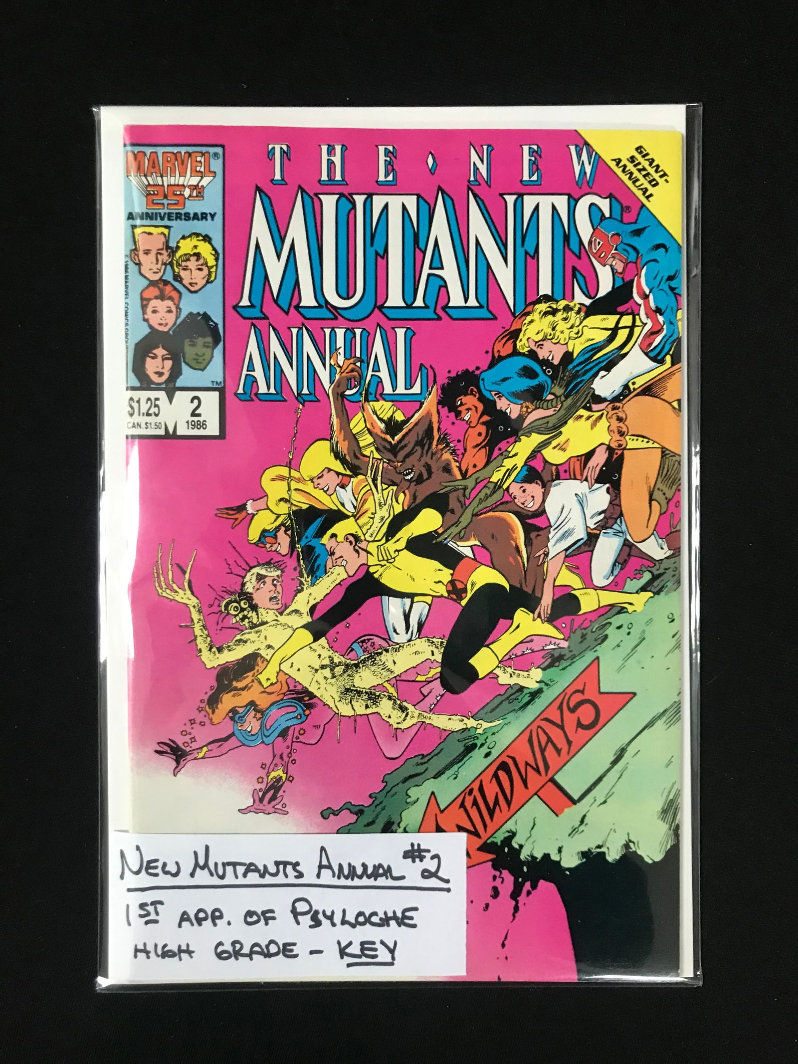 MARVEL COMICS NO.2 THE NEW MUTANTS ANNUAL (1 of 1)
