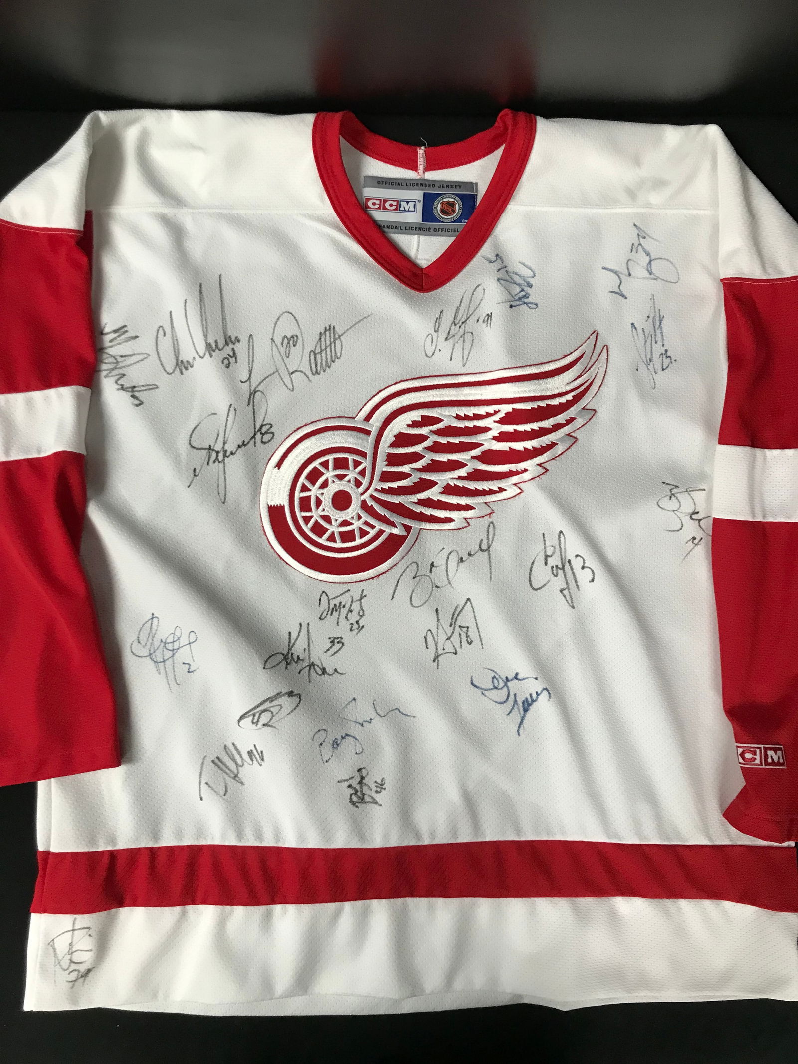 DETROIT RED WINGS TEAM SIGNED JERSEY (JSA COA) (1 of 3)