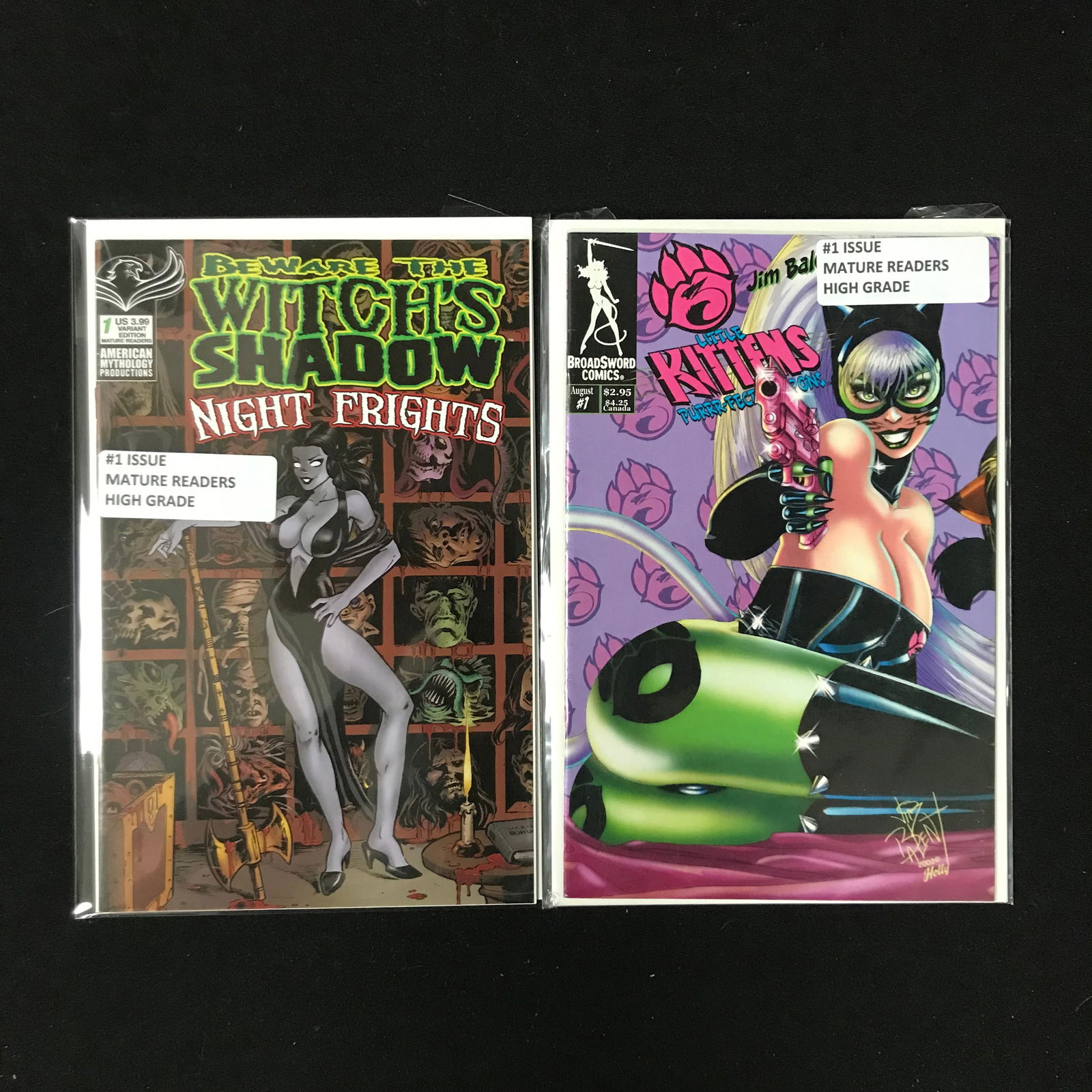 LOT OF 2 COMICS VARIOUS TITLES (INDI) (1 of 1)