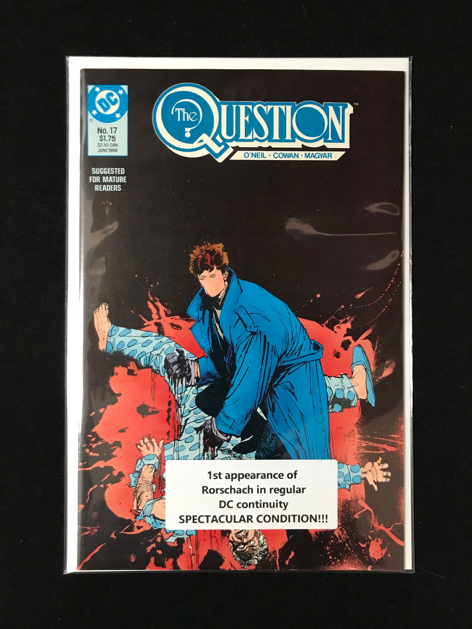THE QUESTION #17 (DC COMICS) (1 of 1)