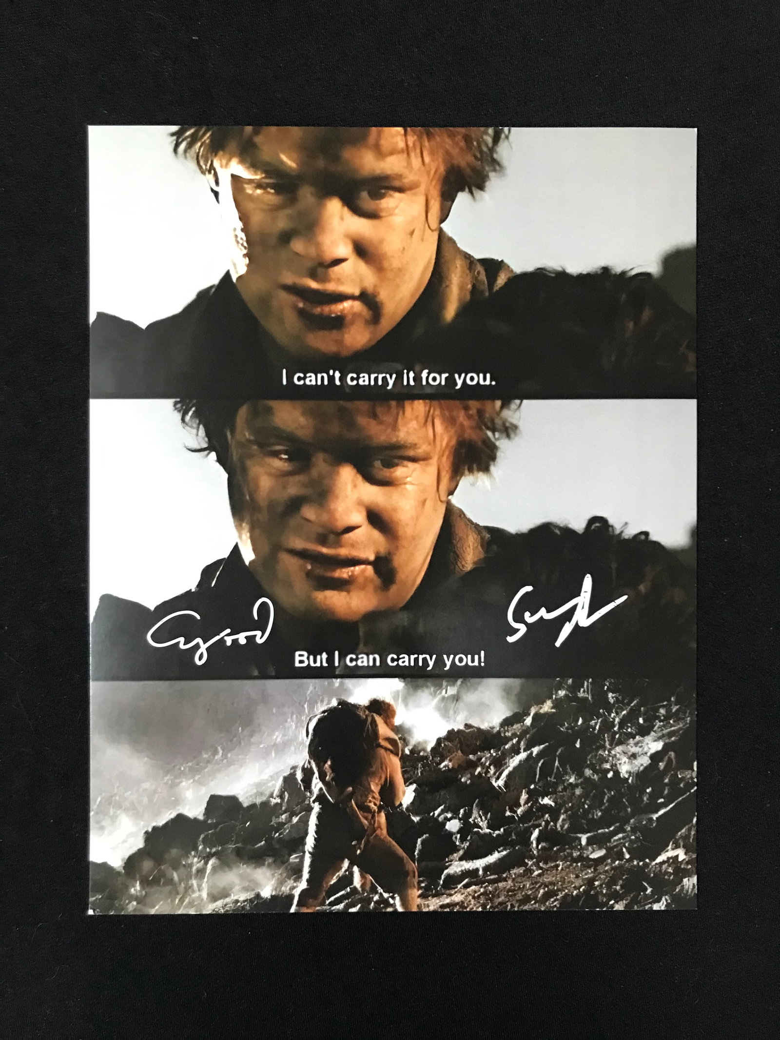 ELIJAH WOOD AND SEAN ASTIN SIGNED LOTR 8X10 PHOTO (WWOC COA) (1 of 1)