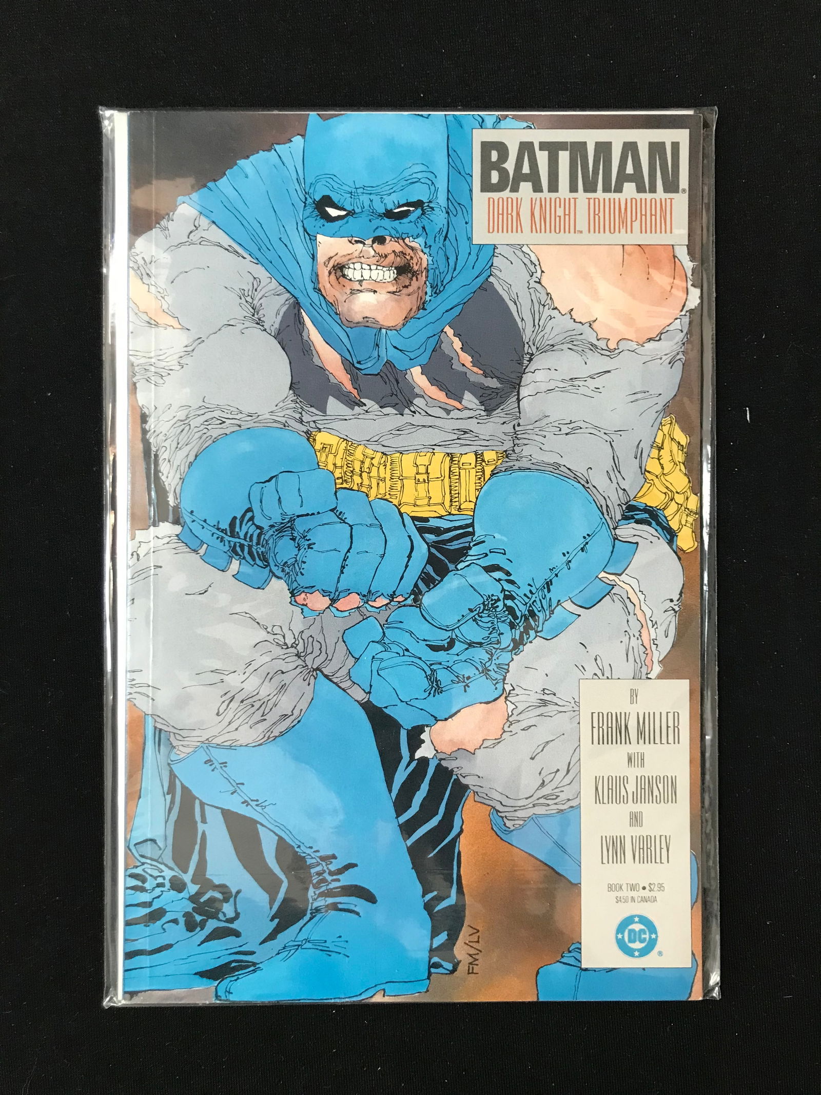 DC COMICS BOOK 2 BATMAN DARK KNIGHT TRIUMPHANT (1 of 1)