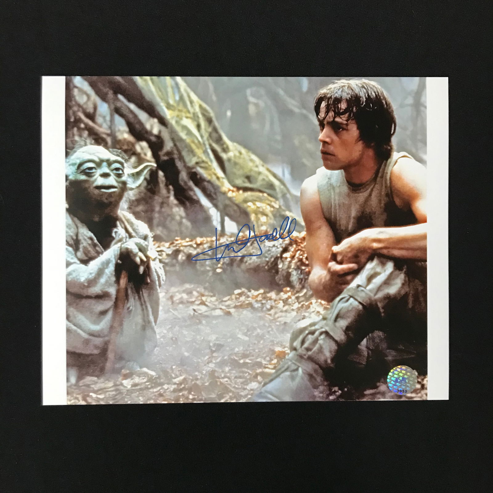 MARK HAMILL SIGNED STAR WARS "LUKE SKYWALKER" 8X10 PHOTO (KB AUTHENTICS COA) (1 of 1)