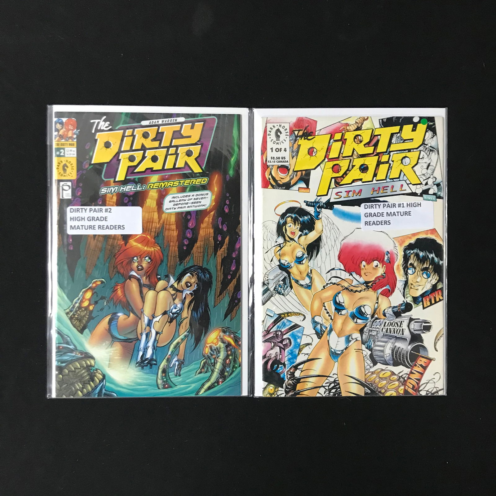 LOT OF 2 DIRTY PAIR COMICS (DARK HORSE COMICS) (1 of 1)