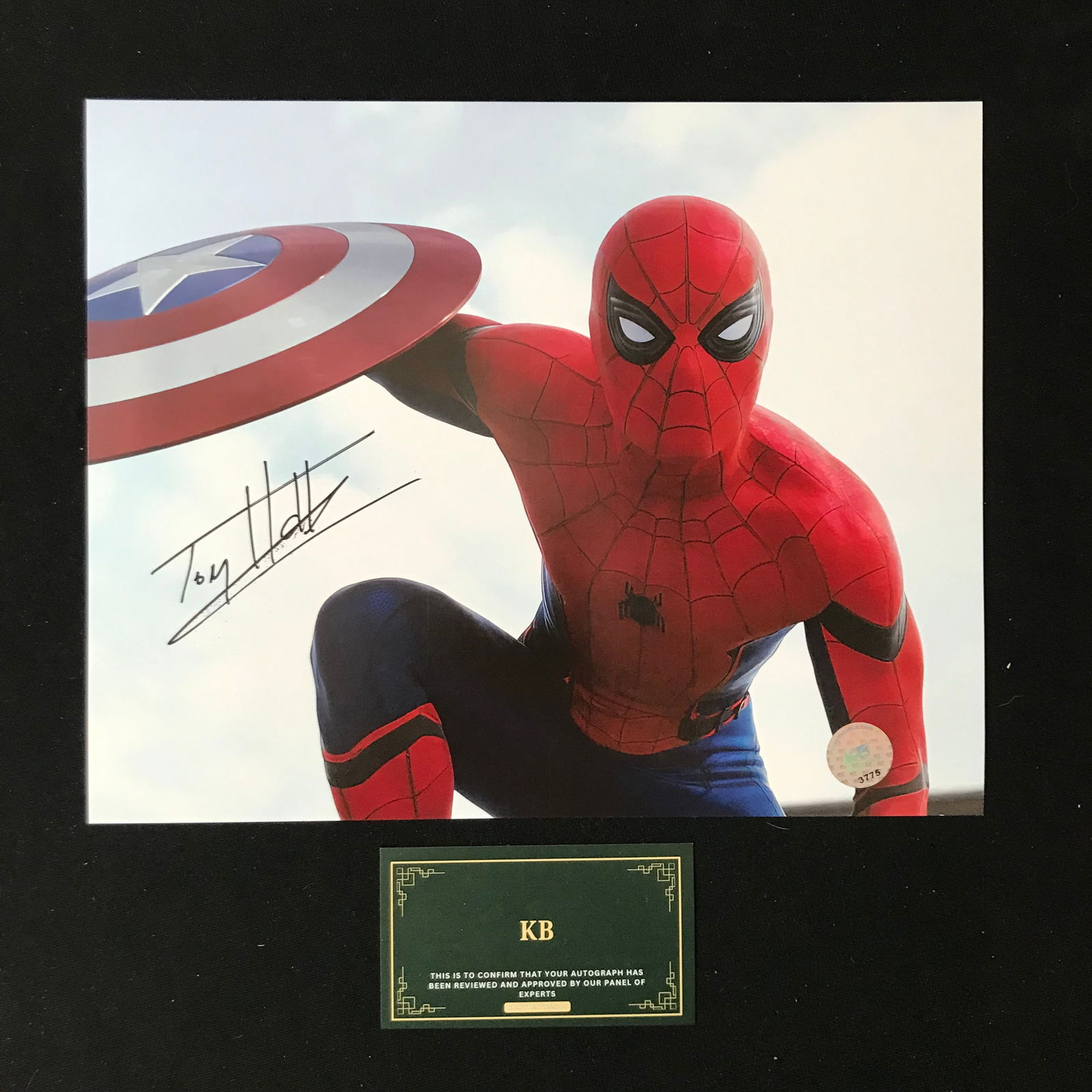 TOM HOLLAND SIGNED "SPIDER-MAN" 8X10 PHOTO (KB AUTHENTICS COA) (1 of 1)