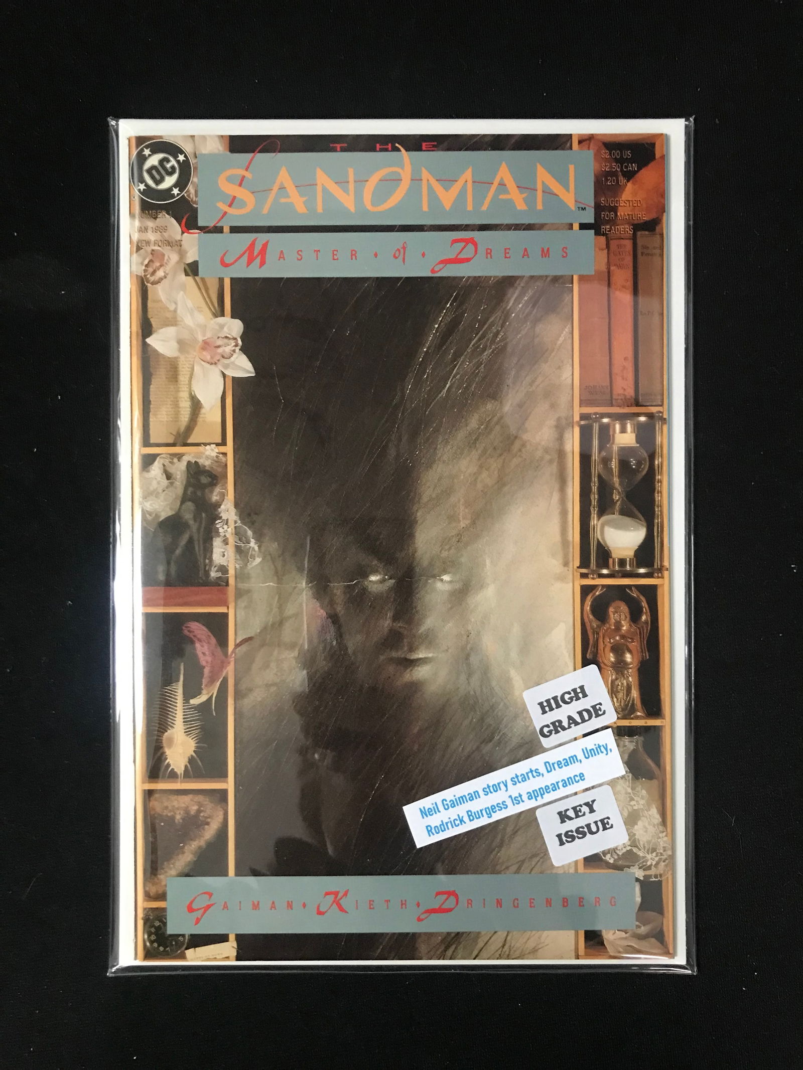 DC COMICS NO.1 SANDMAN MASTER OF DREAMS (1 of 1)