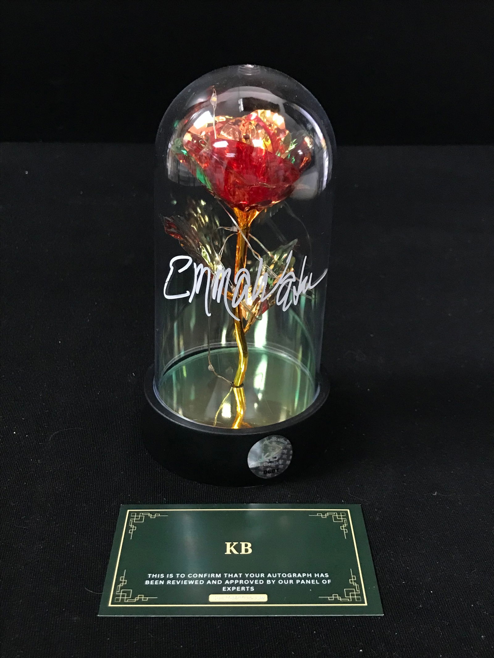EMMA WATSON SIGNED ROSE UNDER GLASS FROM BEAUTY AND THE BEAST (KB AUTHENTICS COA) (1 of 1)