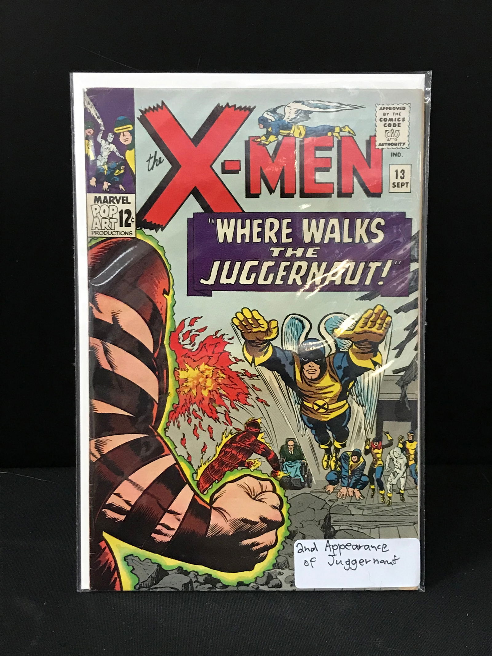 THE X-MEN #13 (MARVEL COMICS) (1 of 1)