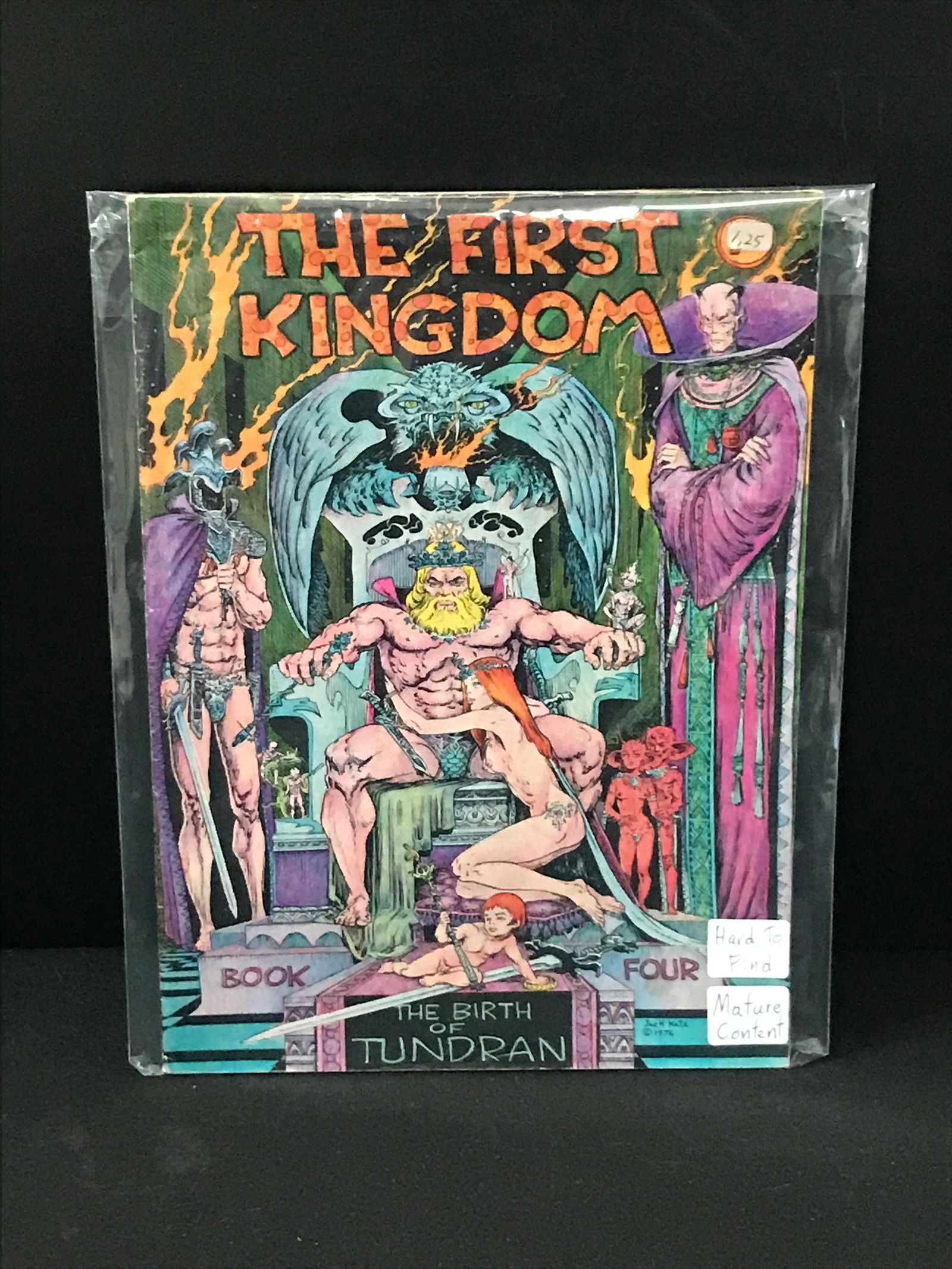 THE FIRST KINGDOM BOOK FOUR COMIC - FOR MATURE READERS (1 of 1)