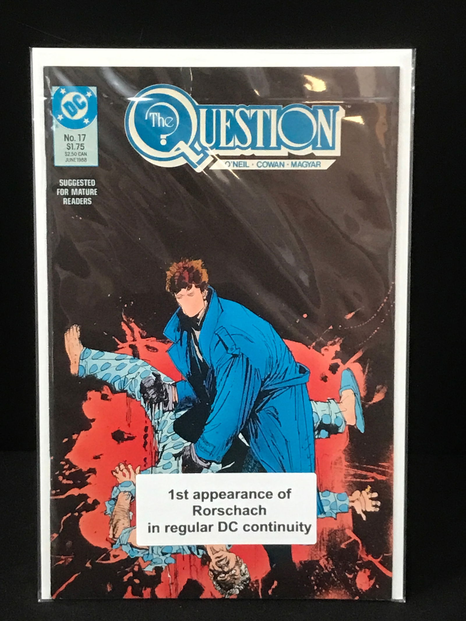 THE QUESTION #17 (DC COMICS) (1 of 1)