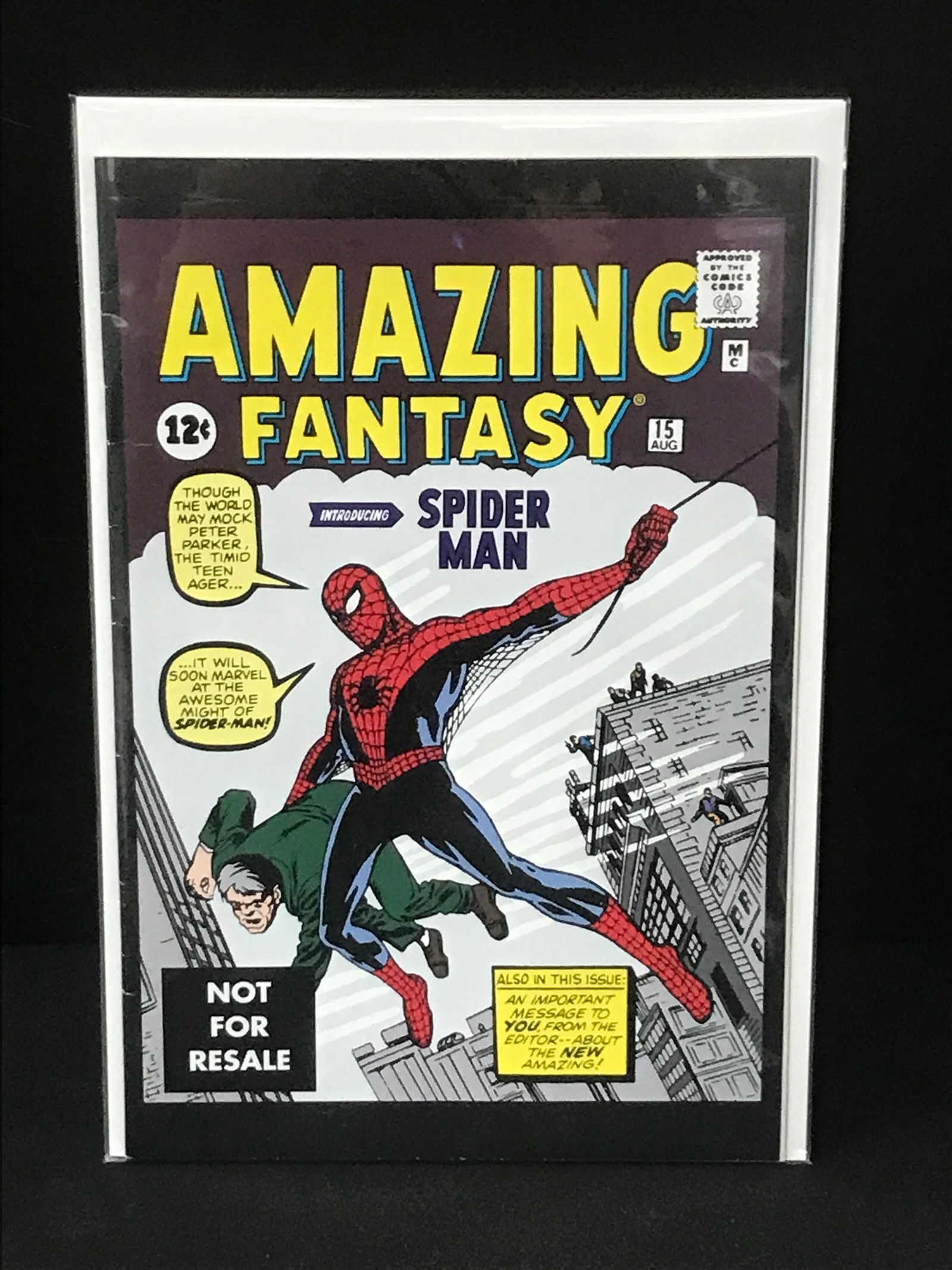 AMAZING FANTASY #15 (MARVEL COMICS) (1 of 1)