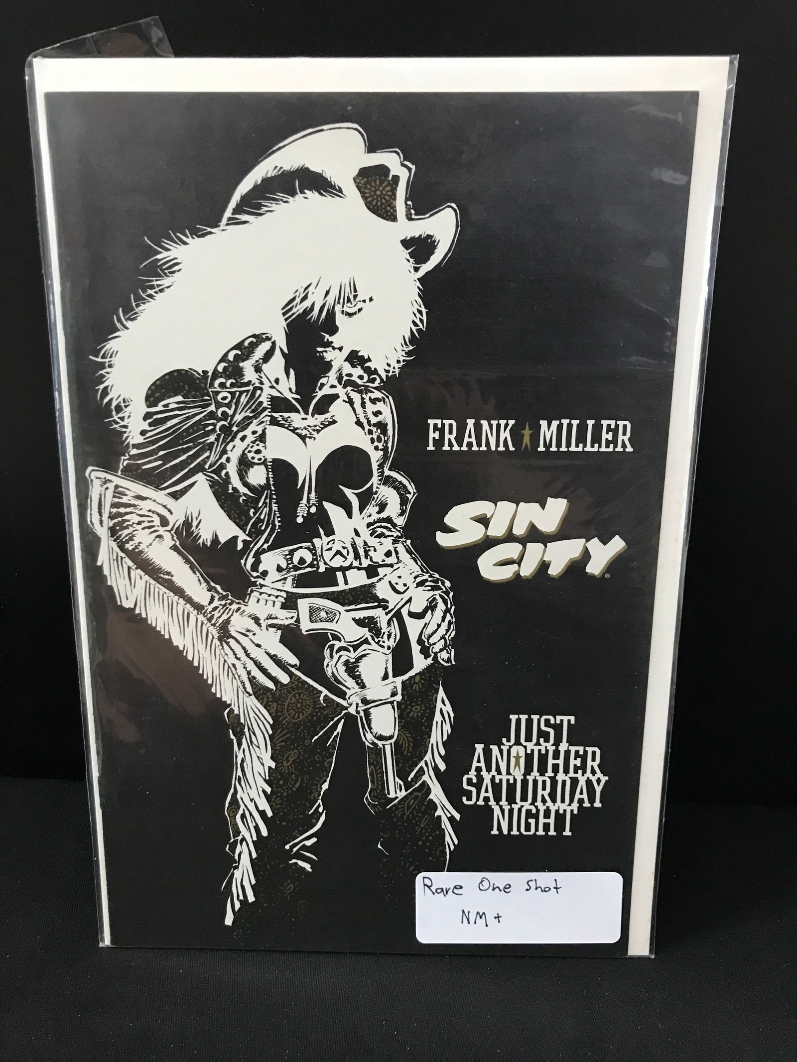 DARK HORSE COMICS NN SIN CITY JUST ANOTHER SATURDAY NIGHT (1 of 1)