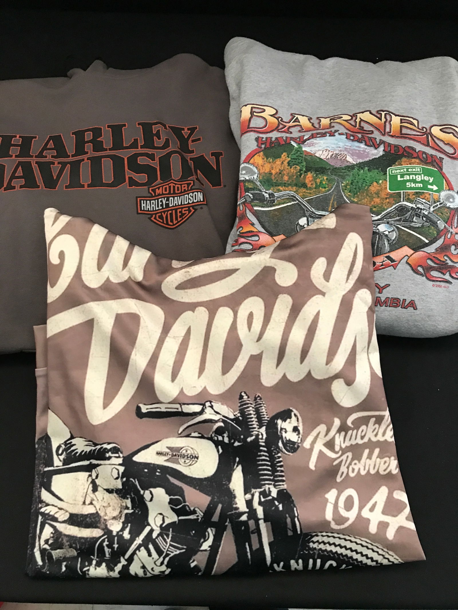 LOT OF 3 HARLEY DAVIDSON HOODIES SIZES LARGE AND MEDIUM (1 of 1)