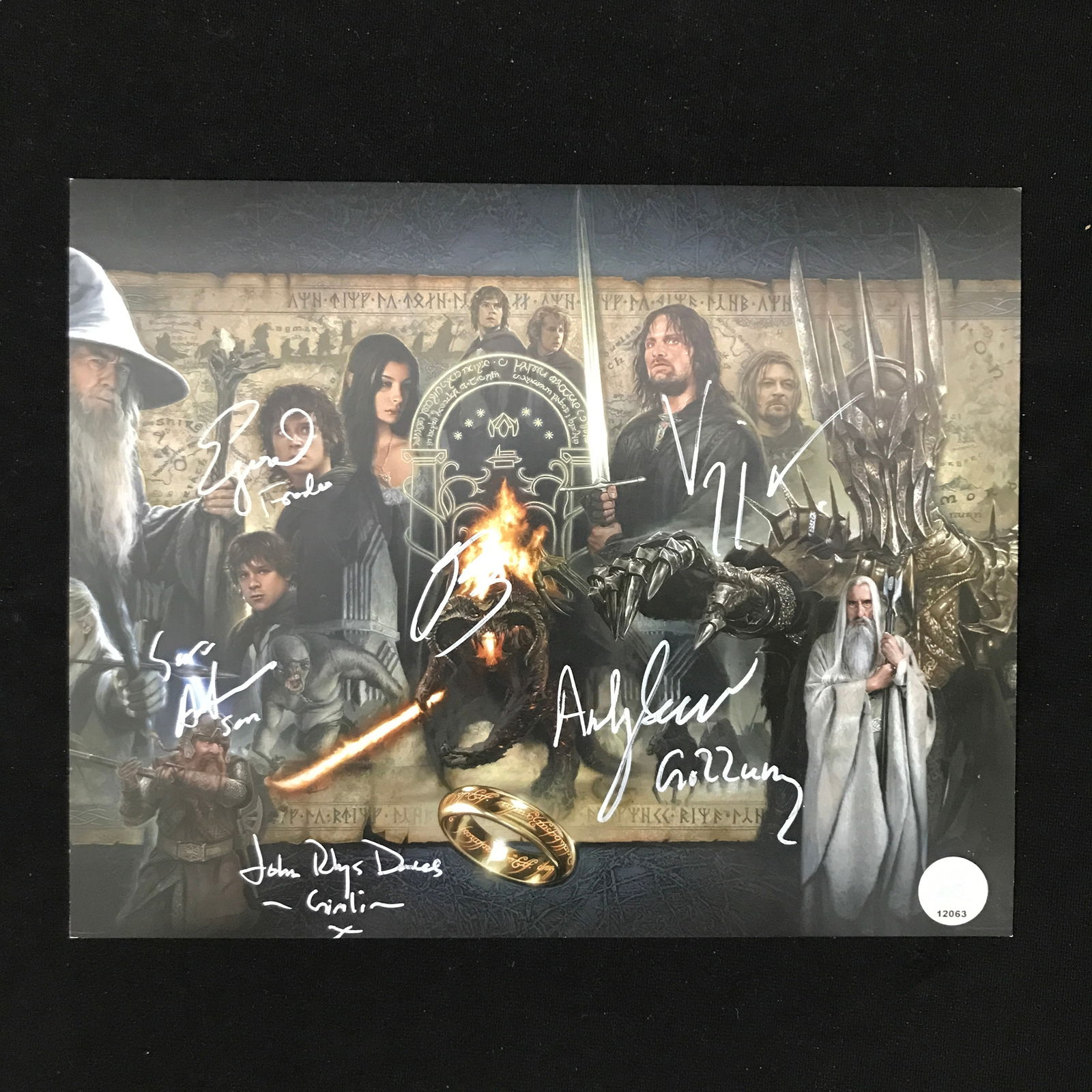 MULTI SIGNED LORD OF THE RINGS (WOOD,ASTIN,SERKIS,BLOOM,MORTENSEN, DAVIES) 8 X 10 KB COA (1 of 1)