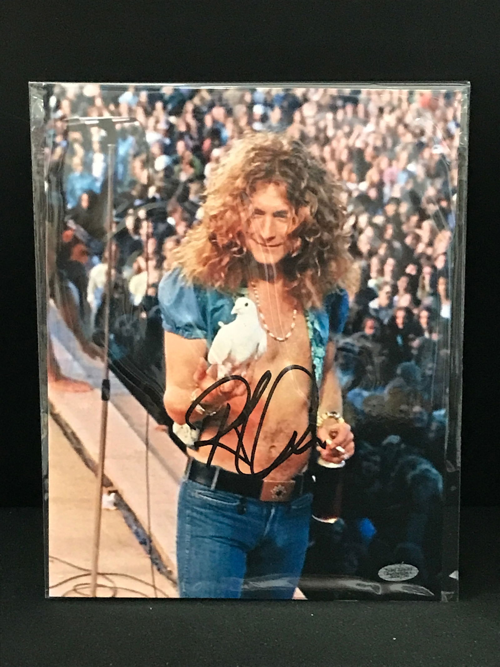 ROBERT PLANT SIGNED 8X10 PHOTO TOTAL SPORTS AUTHENTICS (1 of 2)