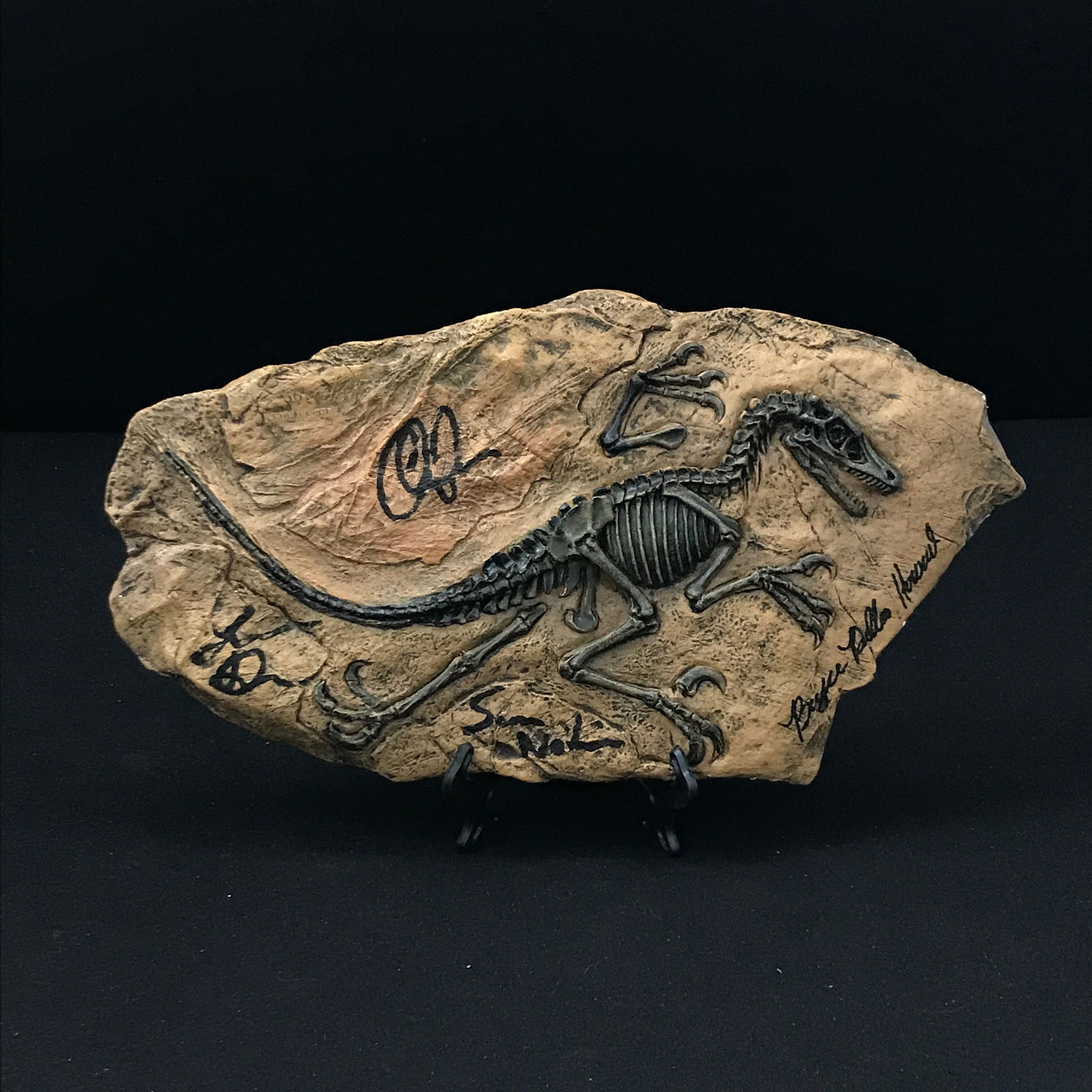 CHRIS PRATT, LAURA DERN, SAM NEIL, BRYCE DALLAS HOWARD SIGNED JURASSIC PARK FOSSIL WITH COA (1 of 1)