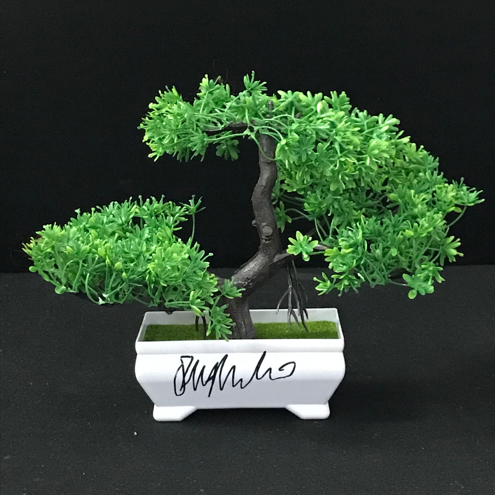 RALPH MACCHIO SIGNED BONSAI TREE KB AUTHENTICS COA (1 of 1)